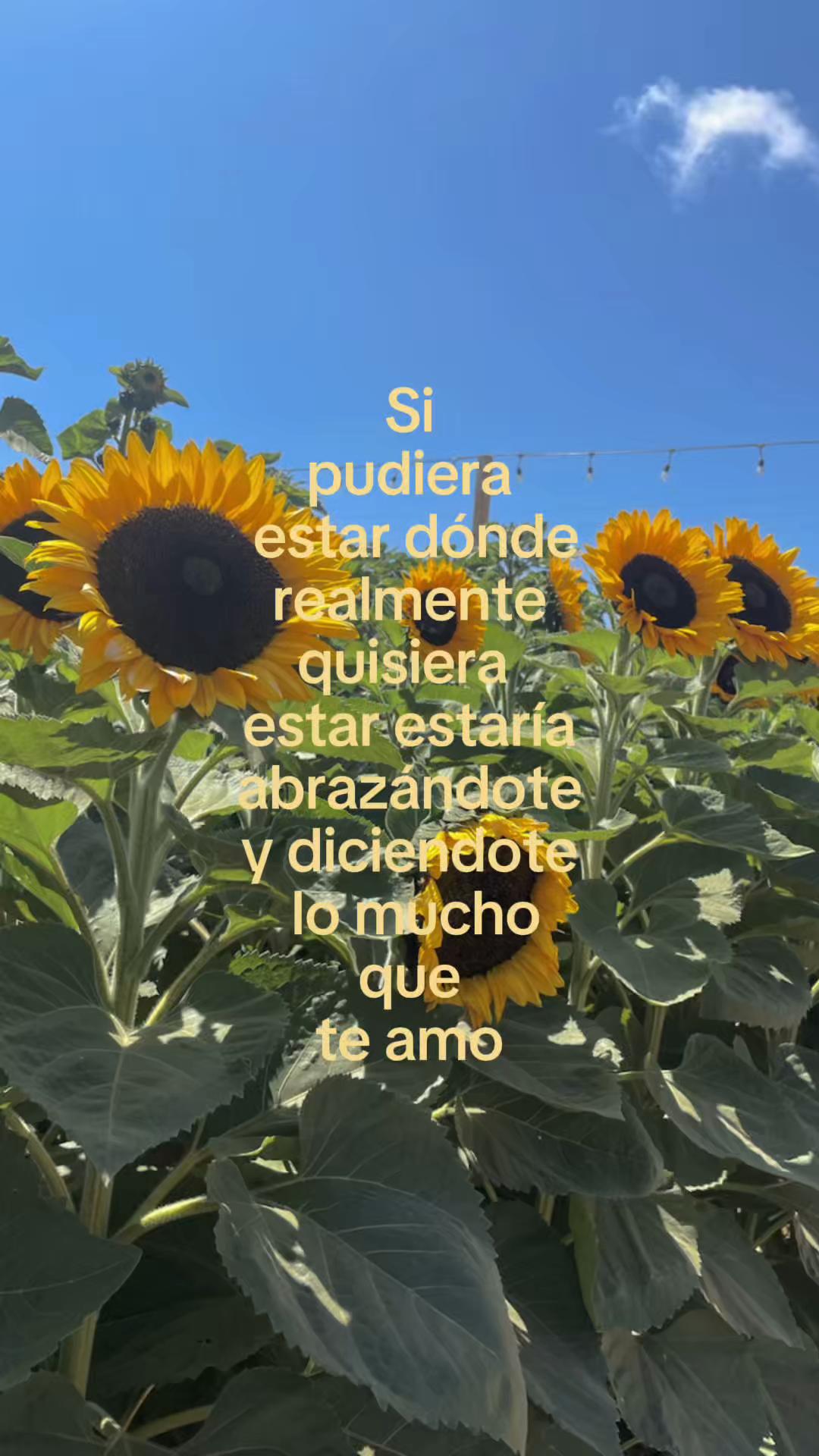 @Edith Martínez