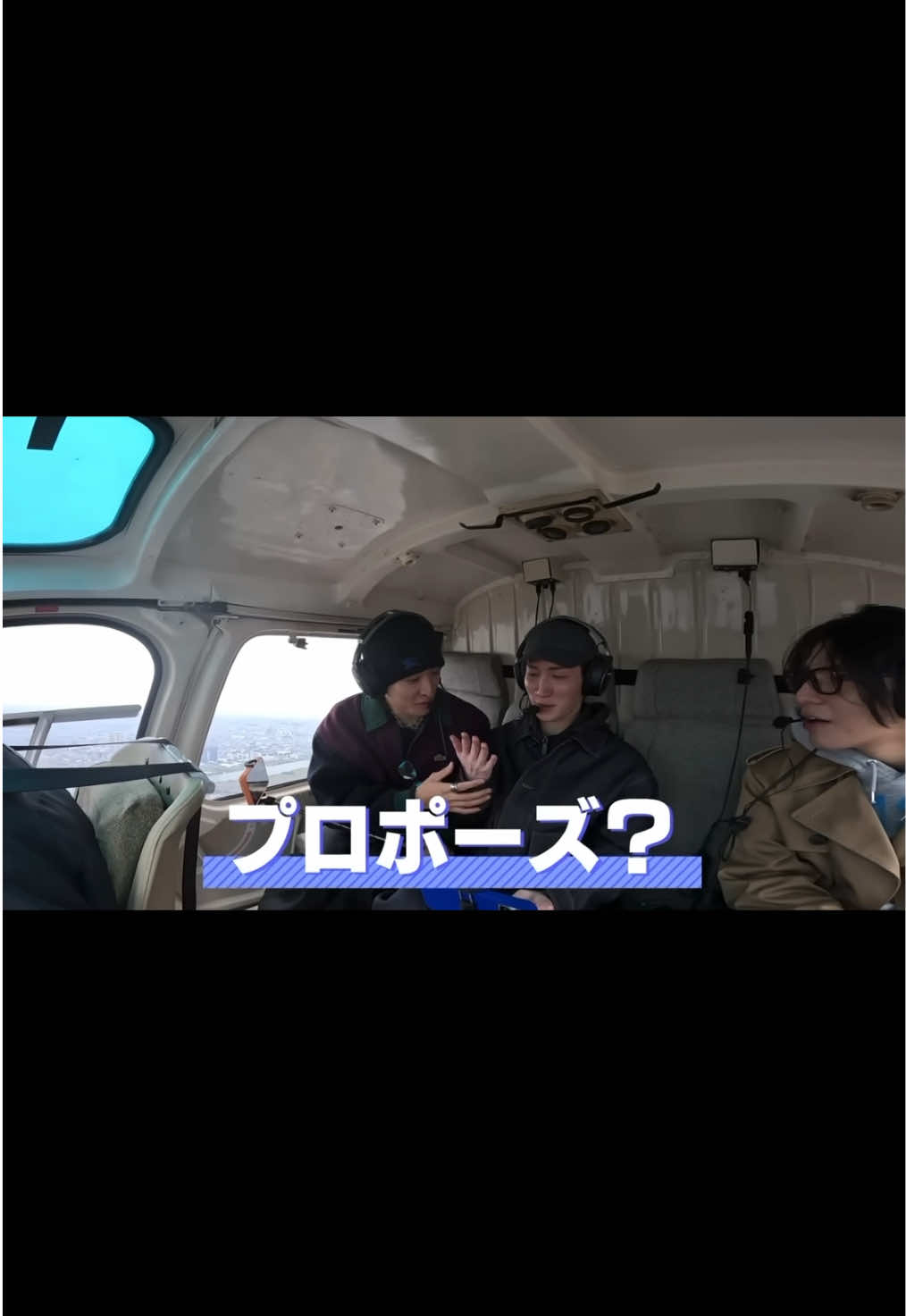 @観 葉 植 物 2