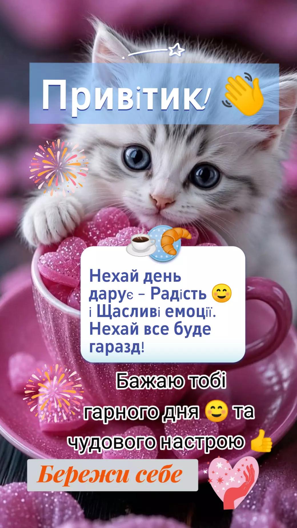 @🇺🇦 СВАХА 🇺🇦