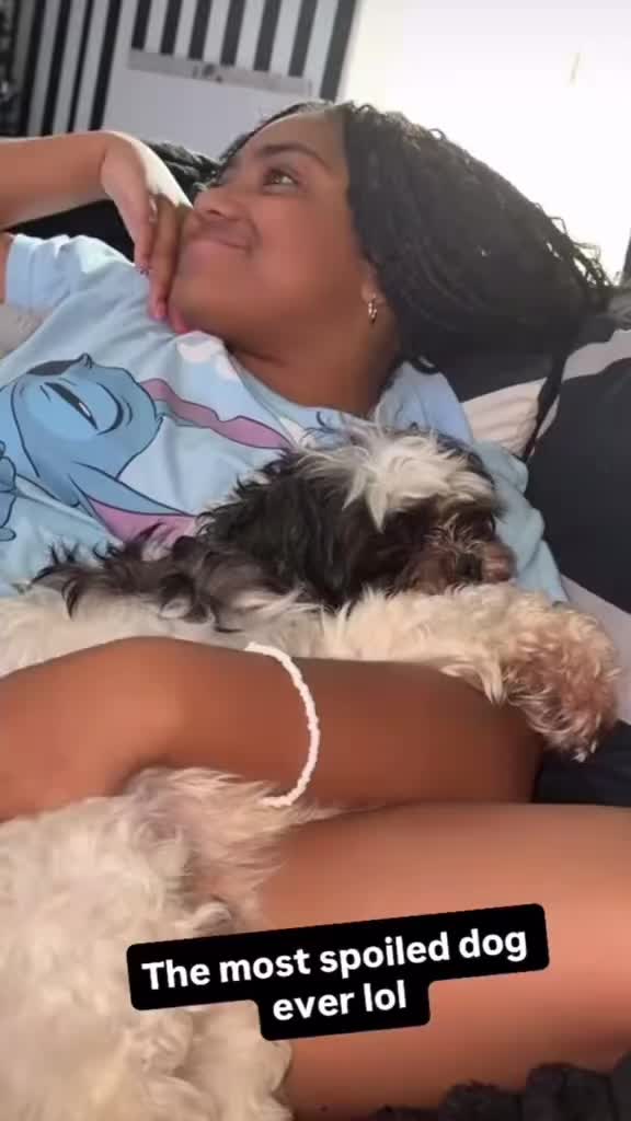 @𝘋𝘪𝘴 𝘝𝘢𝘯𝘯𝘢𝘩 𝟤 💞