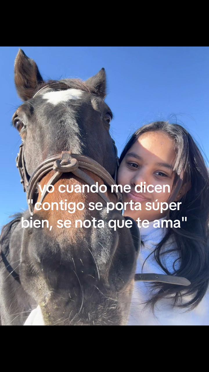 @lasjuanitas.equitacion