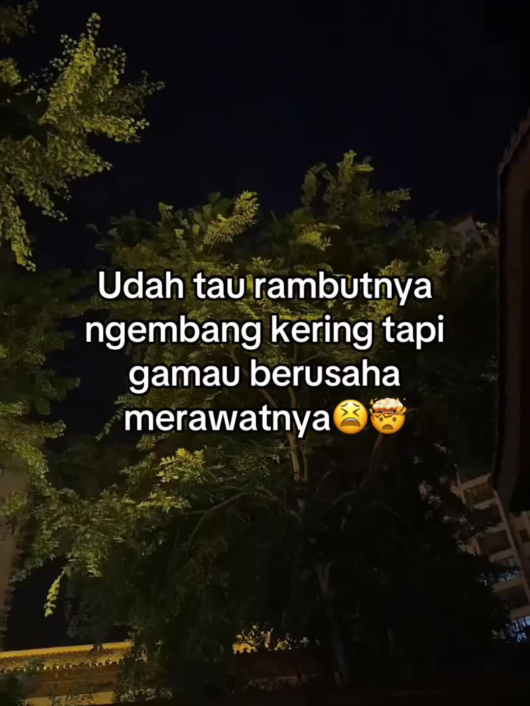 @LekPutraa
