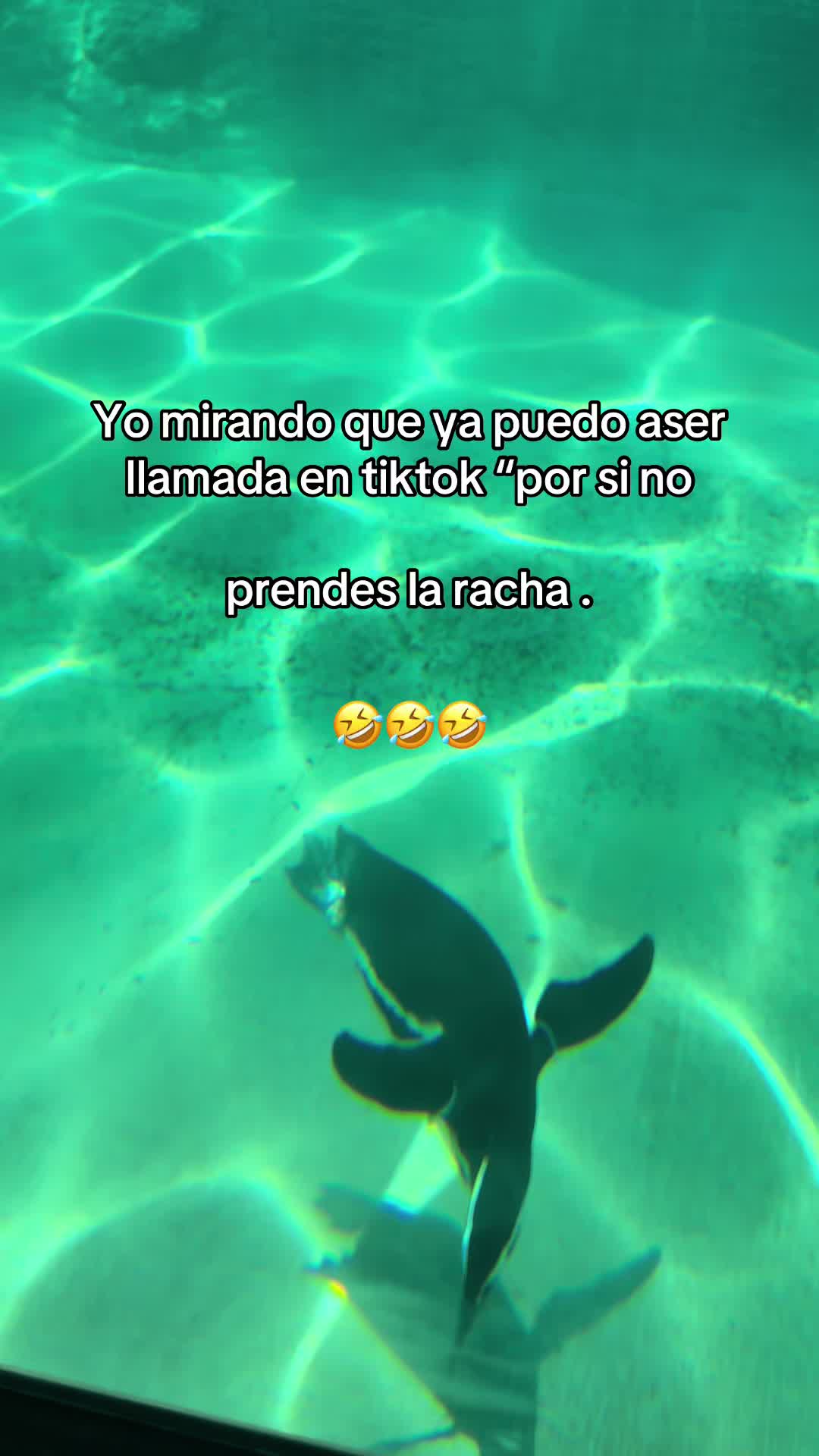 @Yuli Orozco🧃❤️