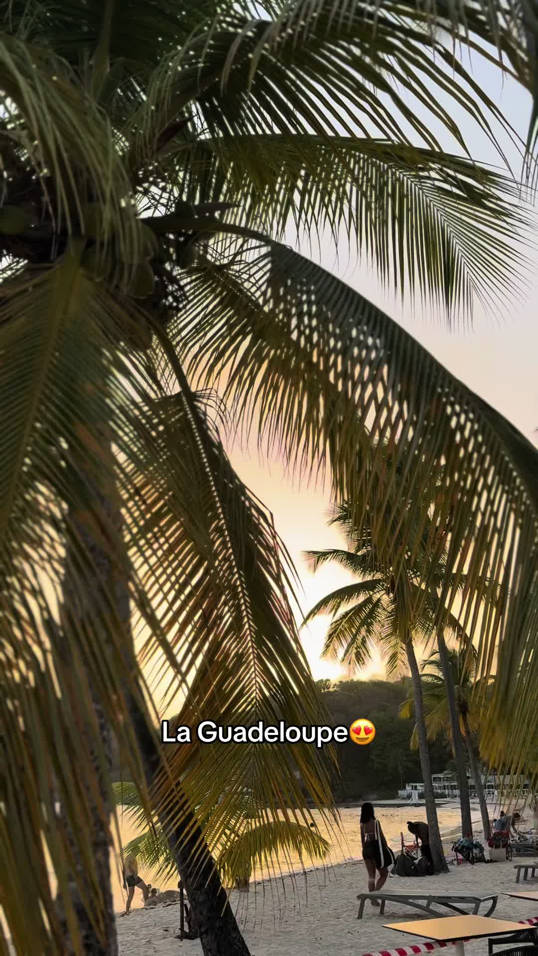 @𝒥𝒶𝓏𝓏.