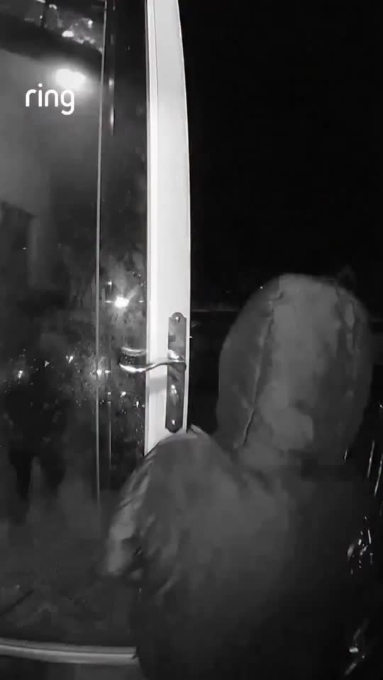 @RingDoorBellVideos