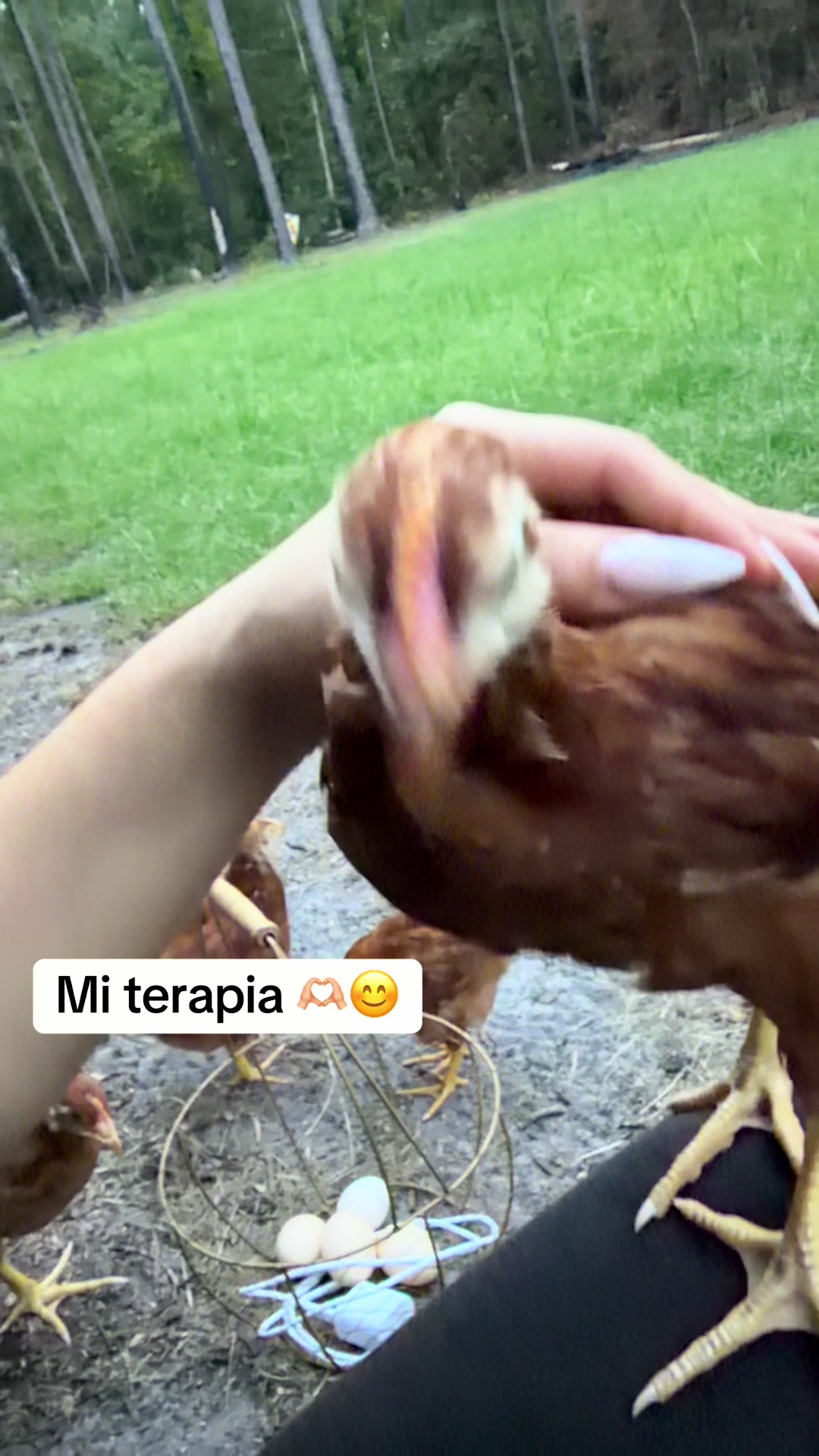 @miricountrylife