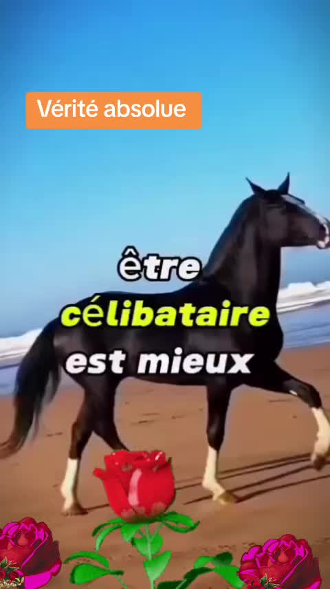 @LA PLU B&Egrave;L NANA DIAMAN NOIR💎