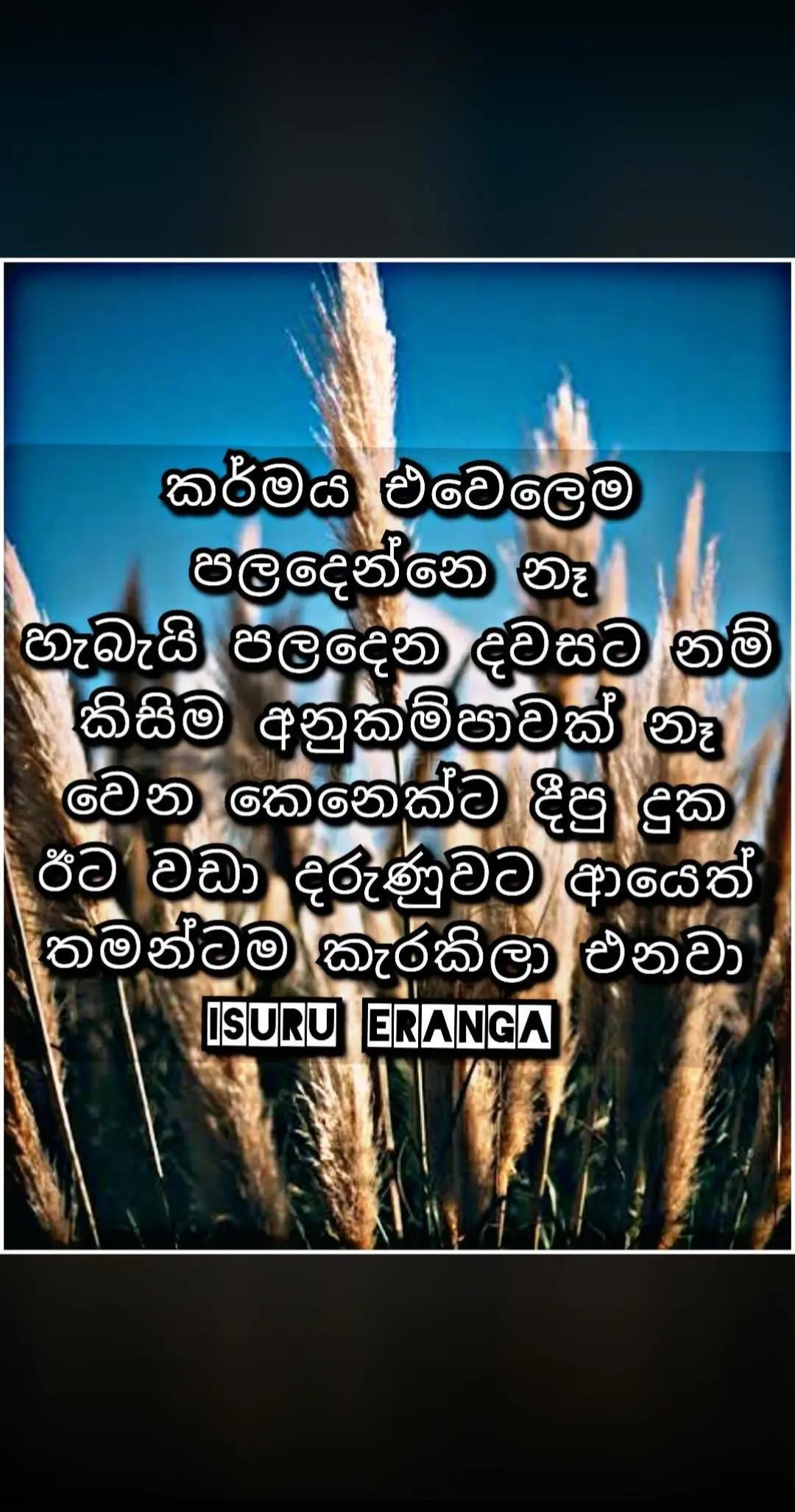 @NIMMI
