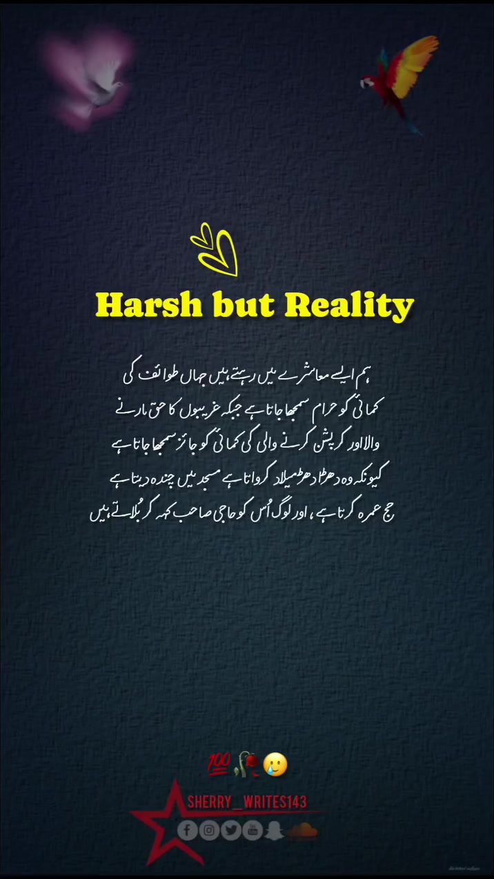 @shery__writes
