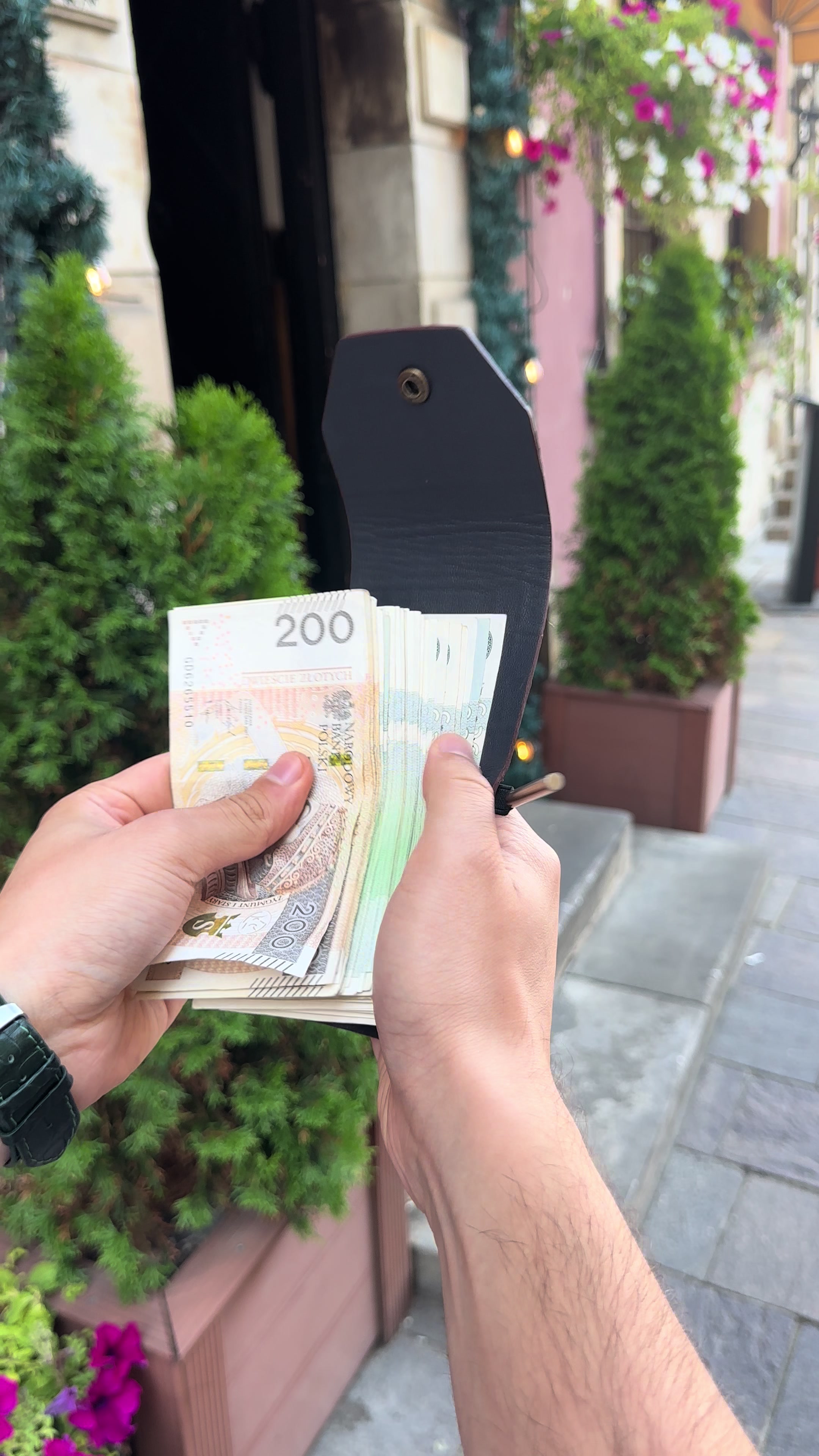 @Alpen.wallet