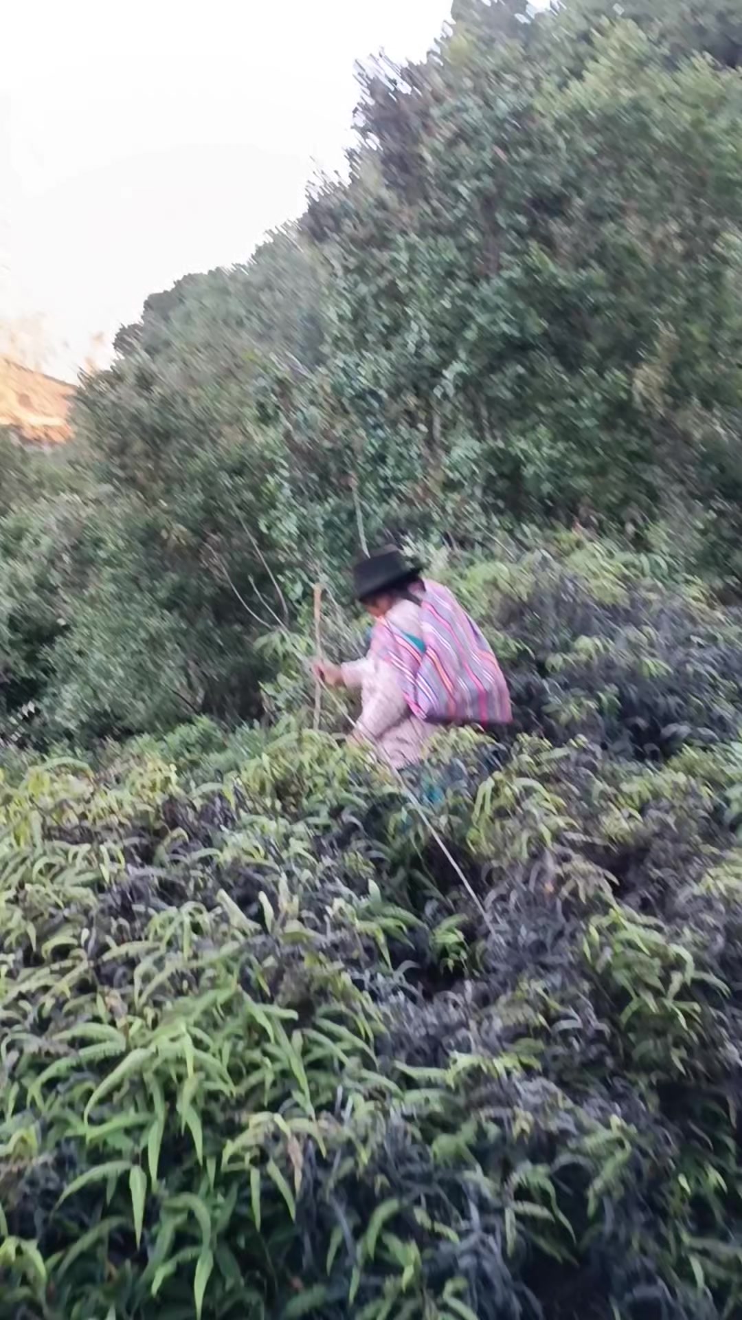 @Marisa😍🇵🇪🌿