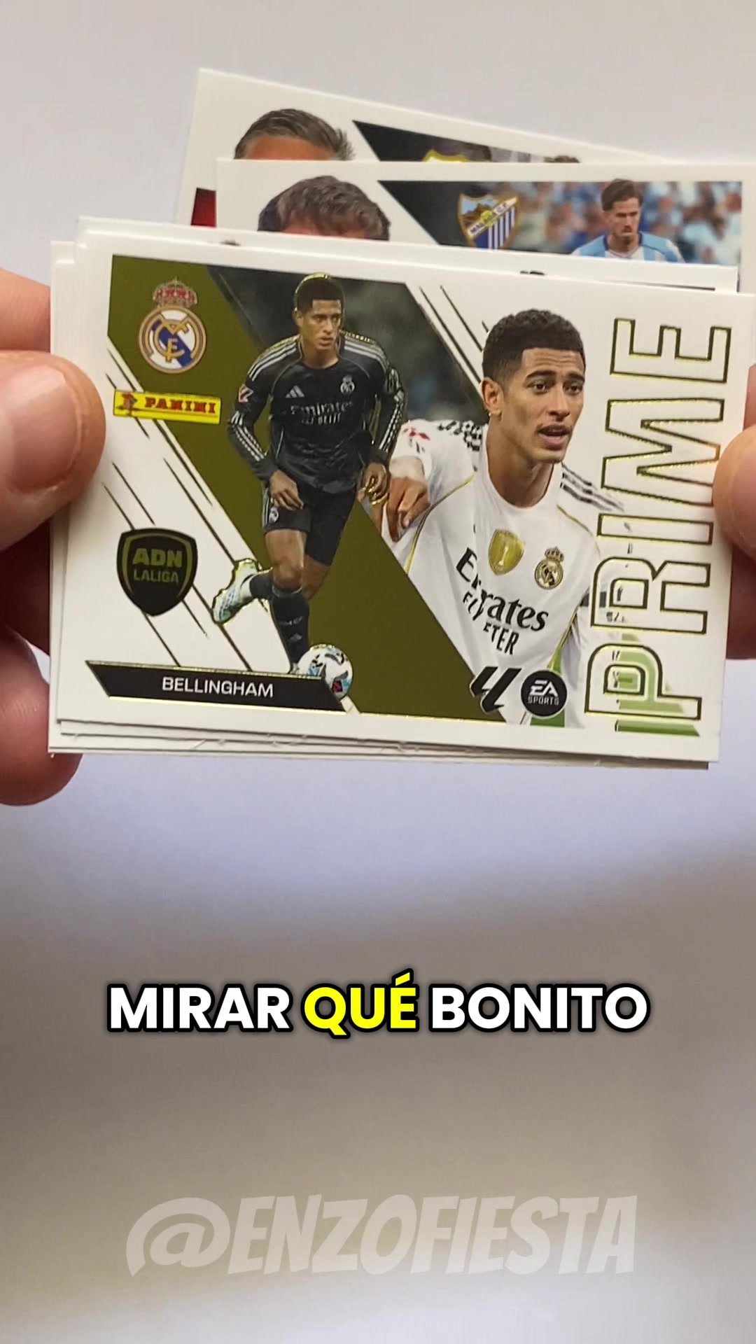 @ENZOFIESTA