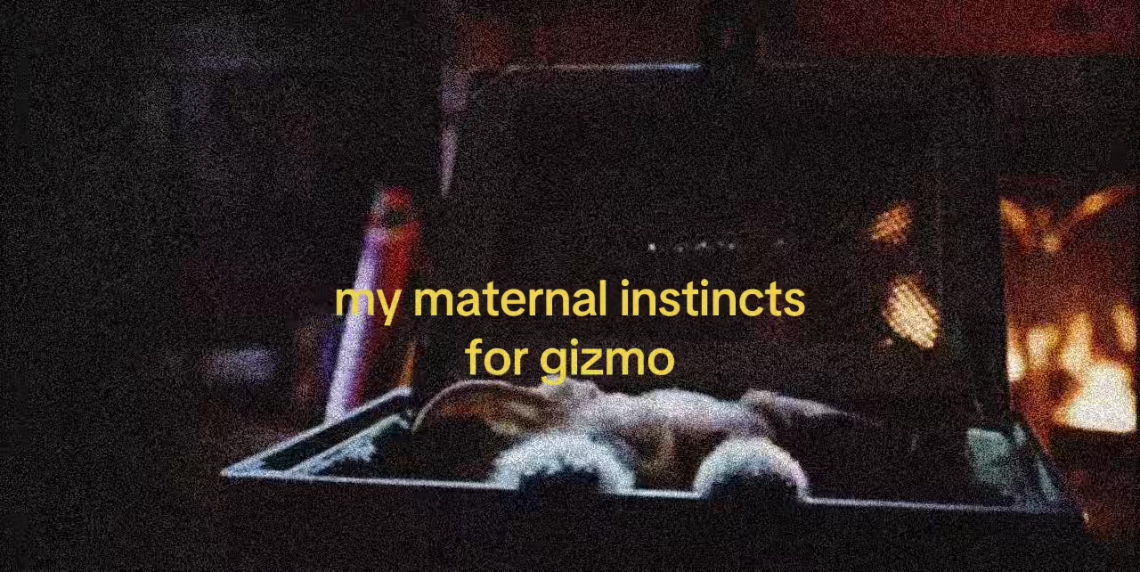 @🪽