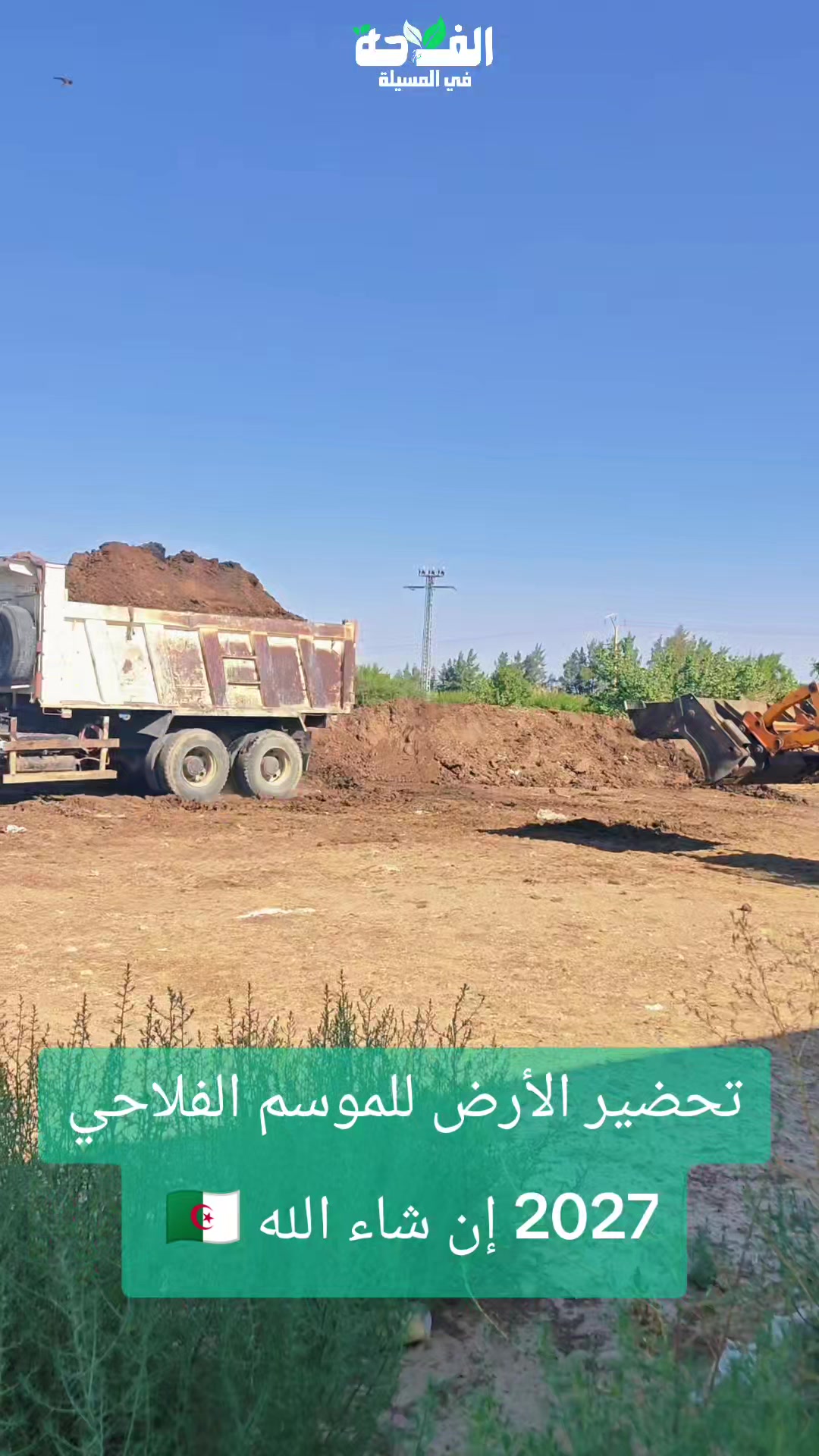@الفلاحة في مسيلة