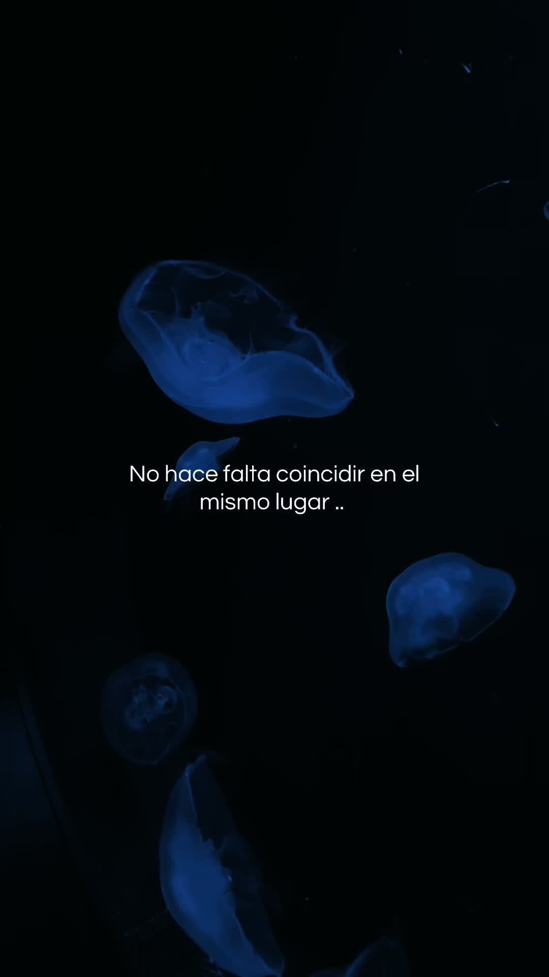 @ᗰᗩY ᗷ&bull;