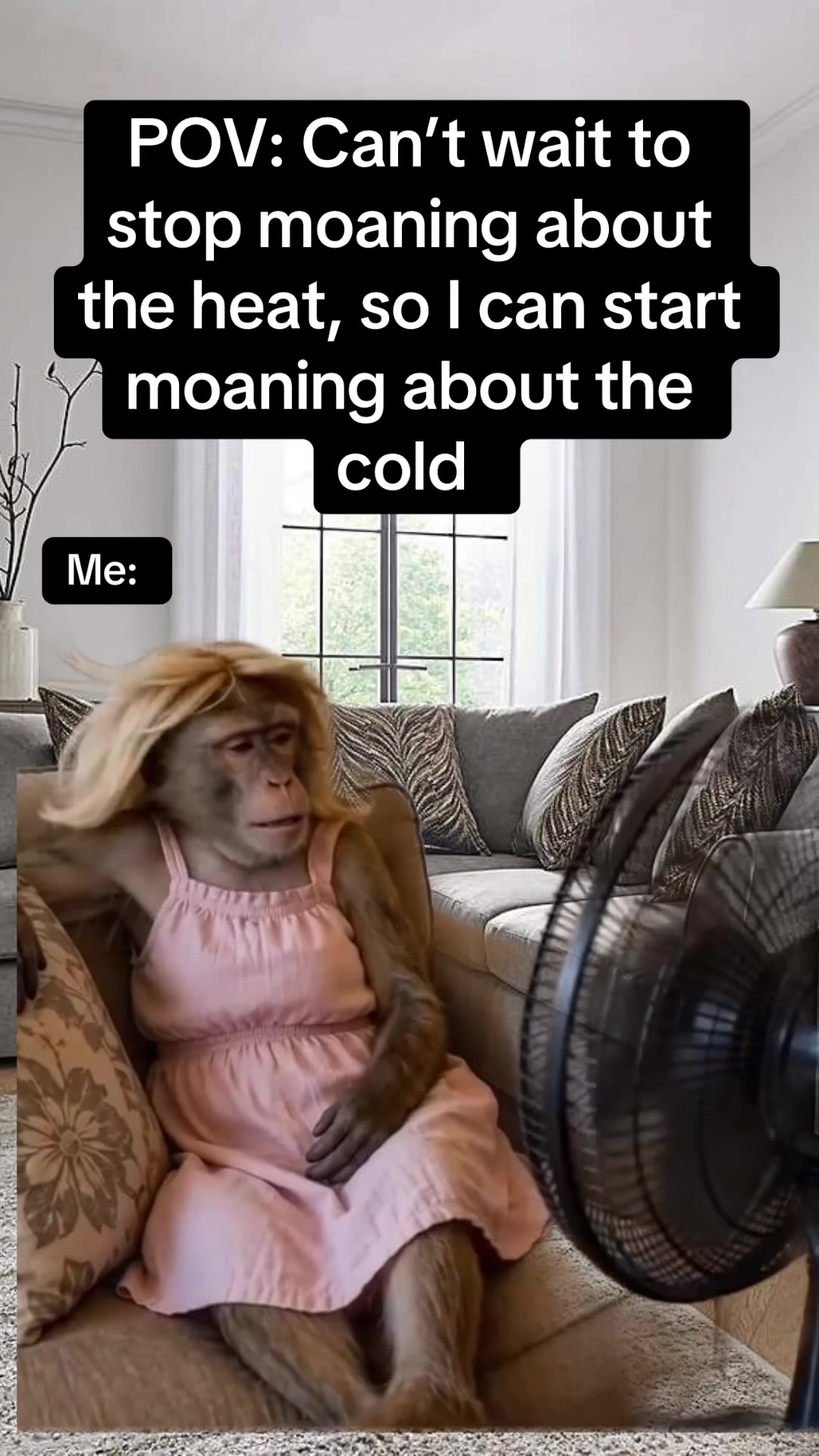 @Pixie Memes