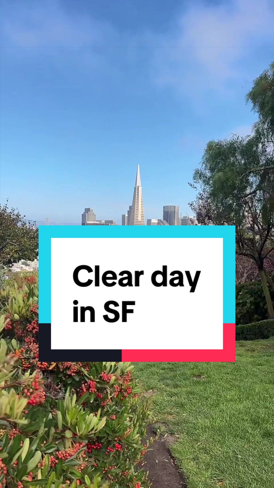 @Rico San Francisco