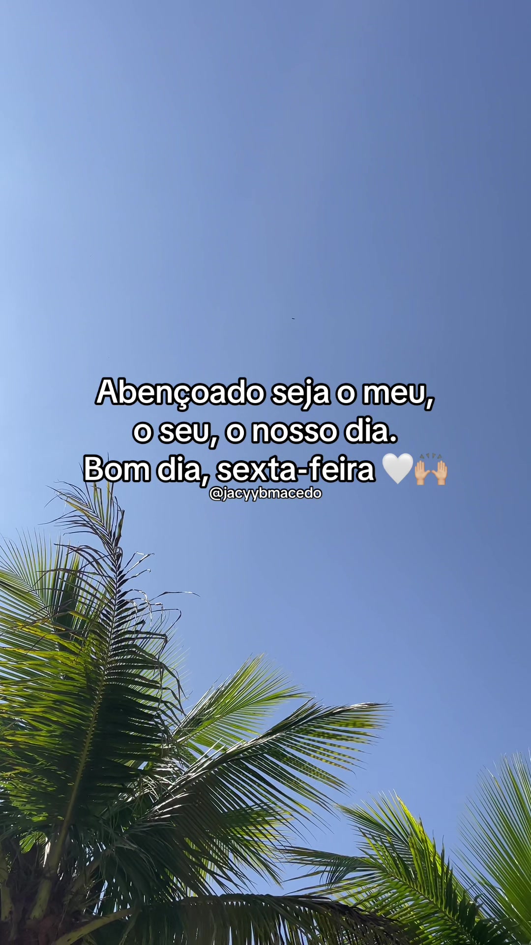 @jacybmacedo