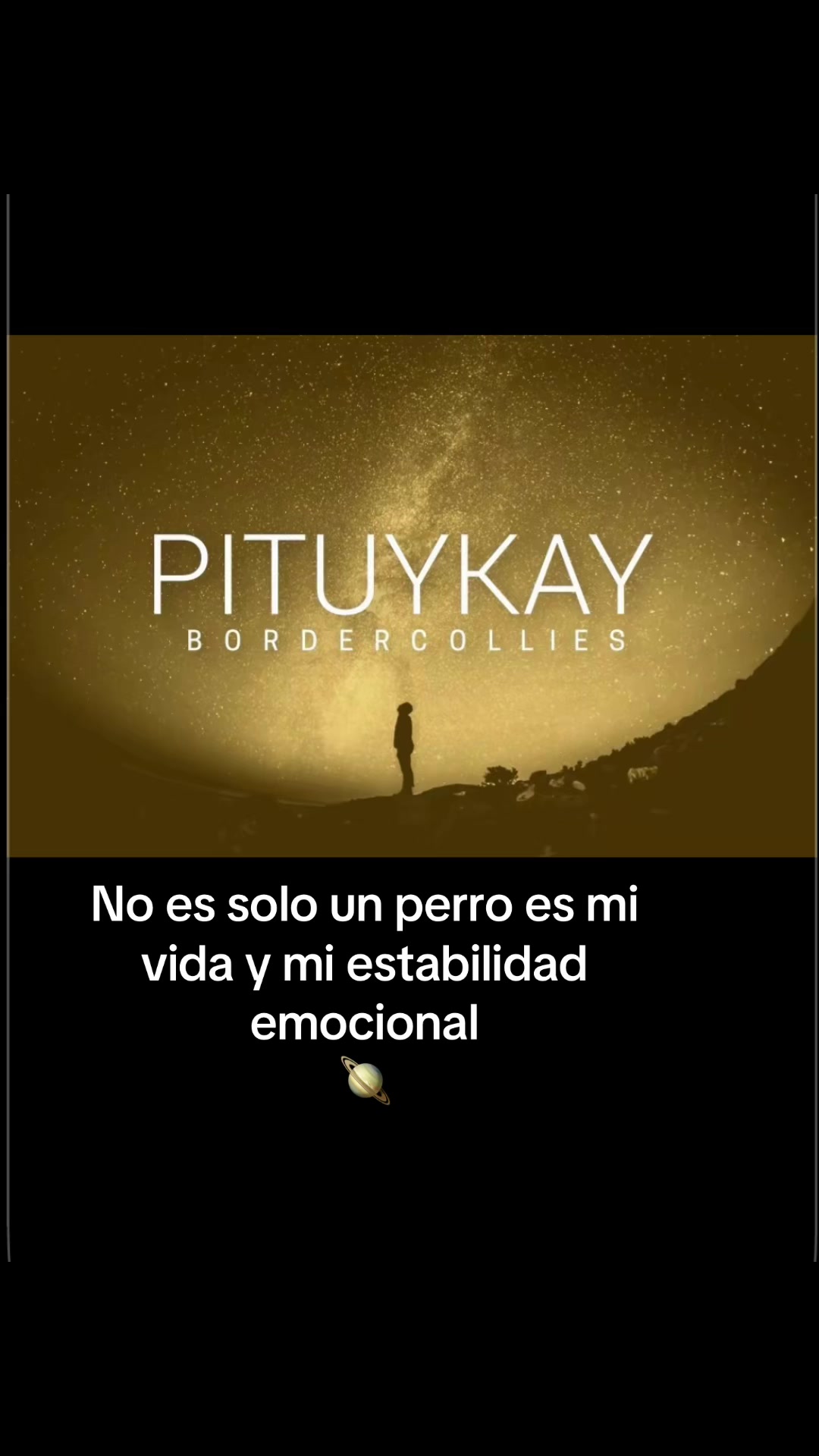 @Pituykay y agapornis