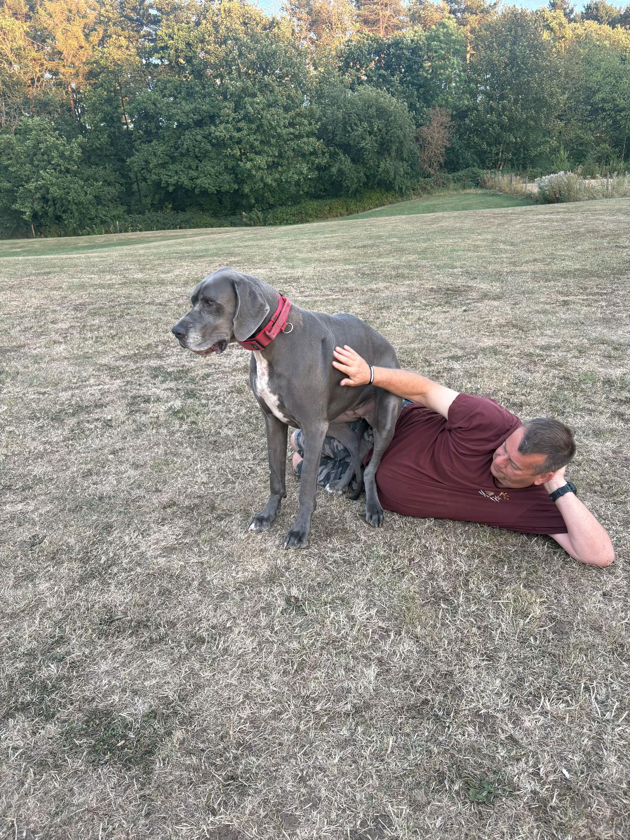 @Scoob and Blueberry