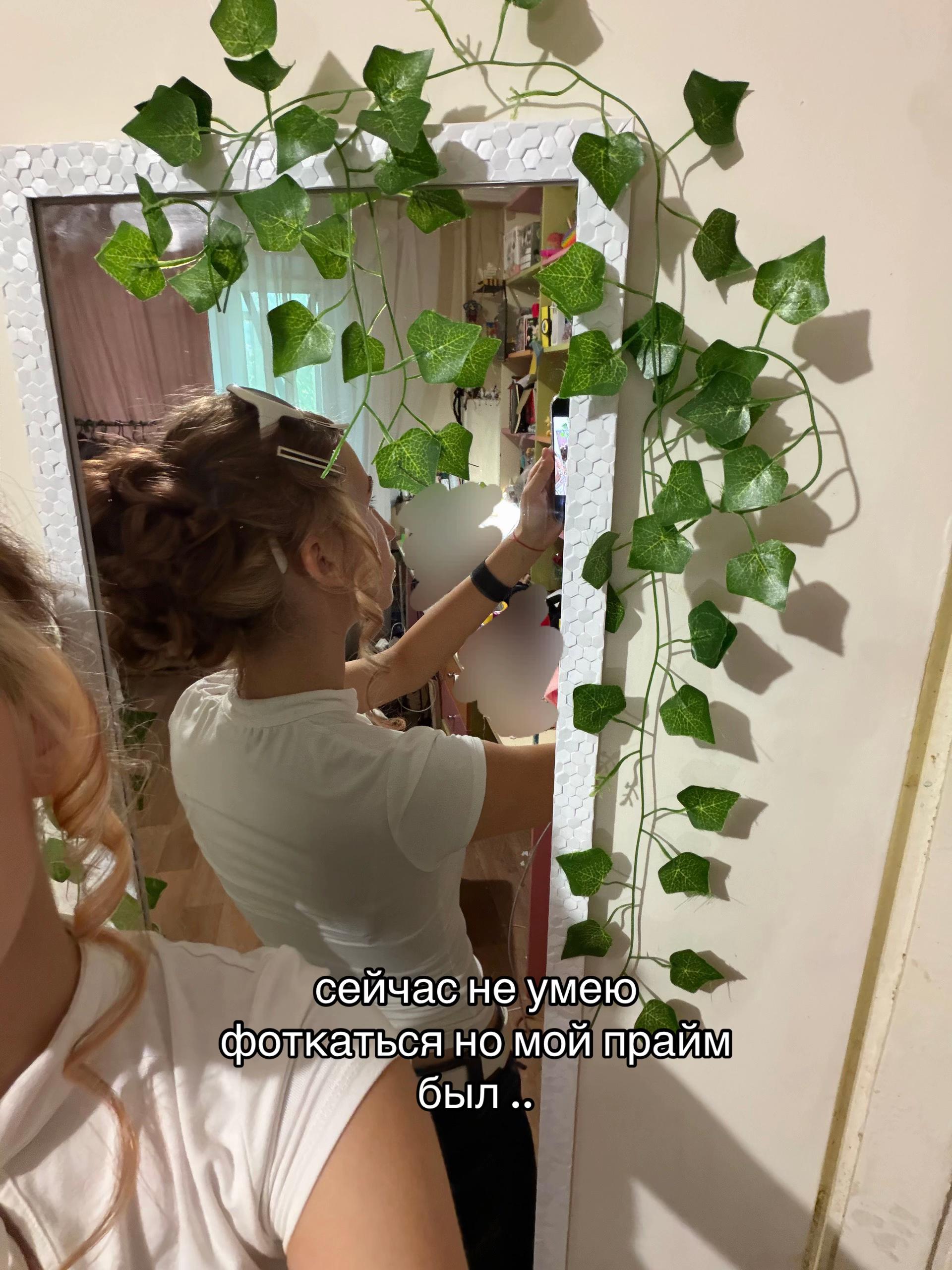 @картонка прайм