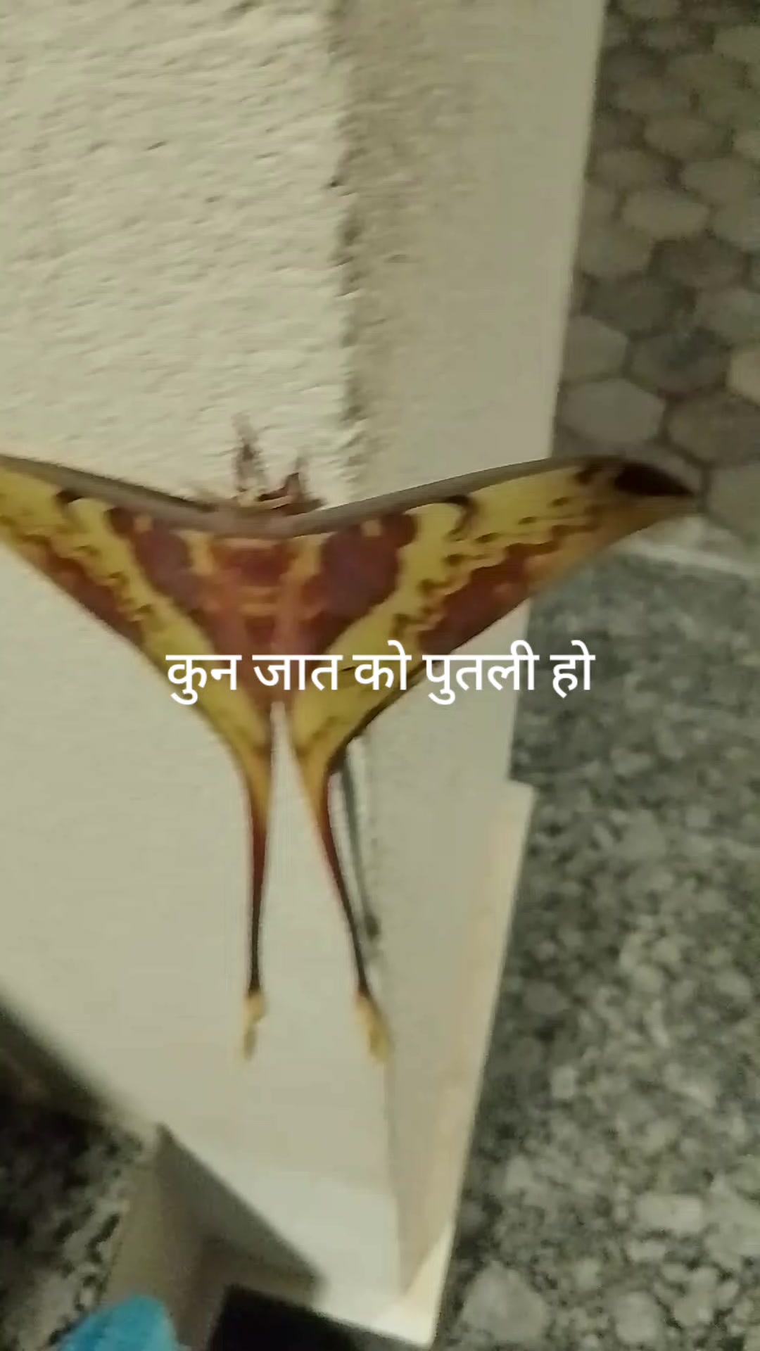 @Rajesh Kurmi