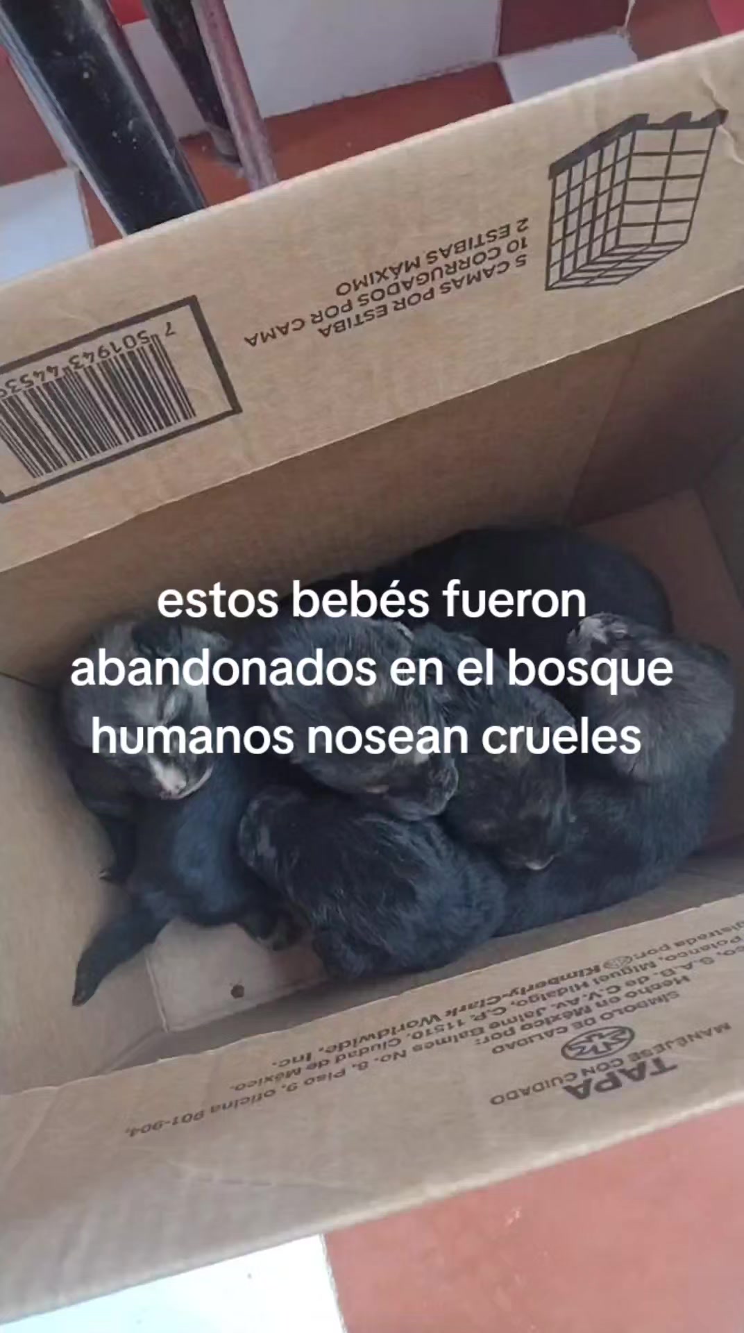 @lasuperchule