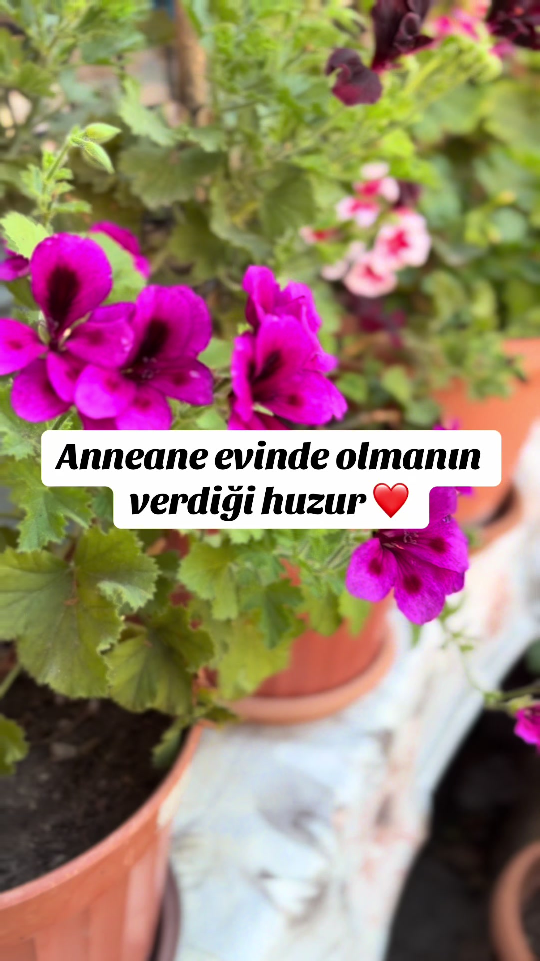 @Zerrin.Ekici