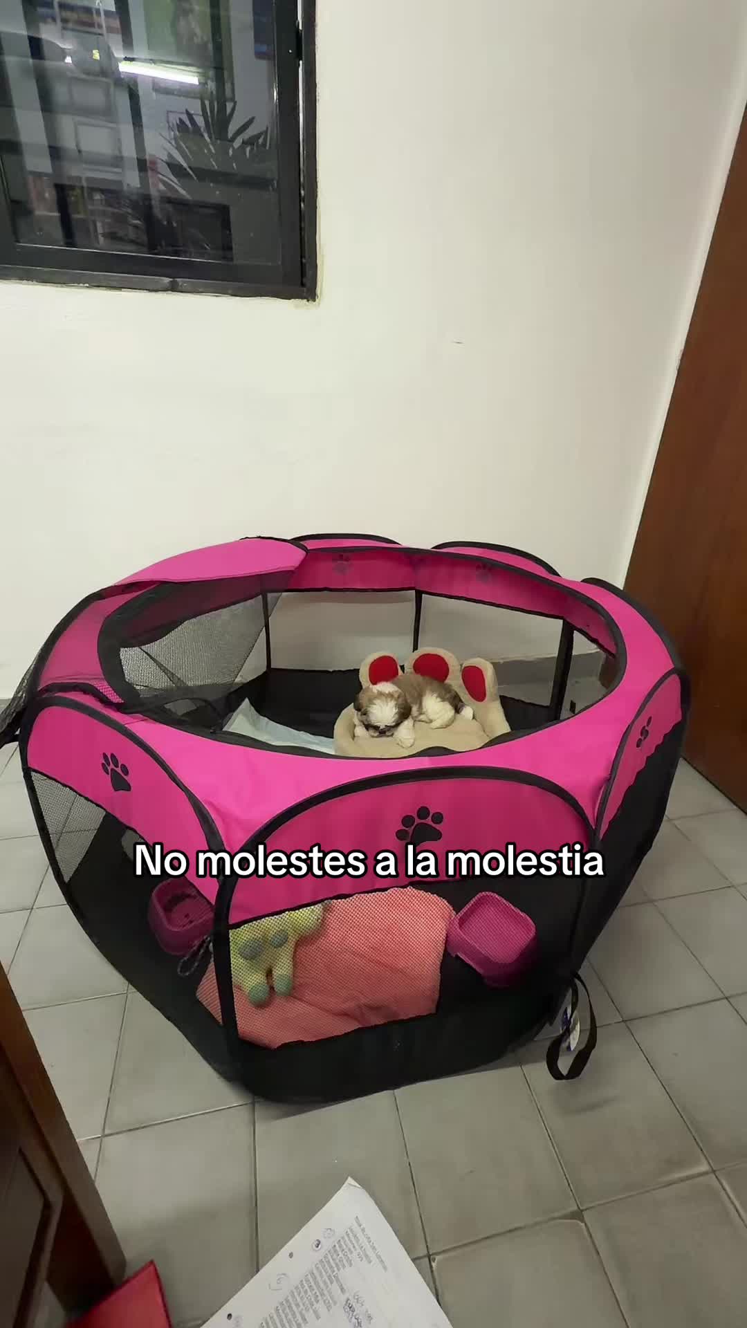 @Giuli Pauuuuu