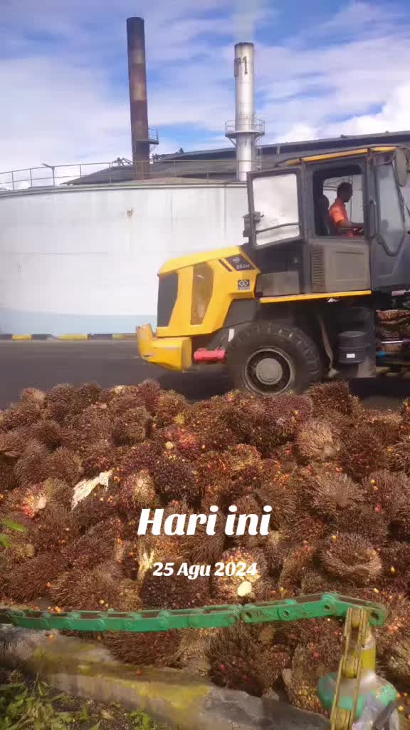 @kafidudin86