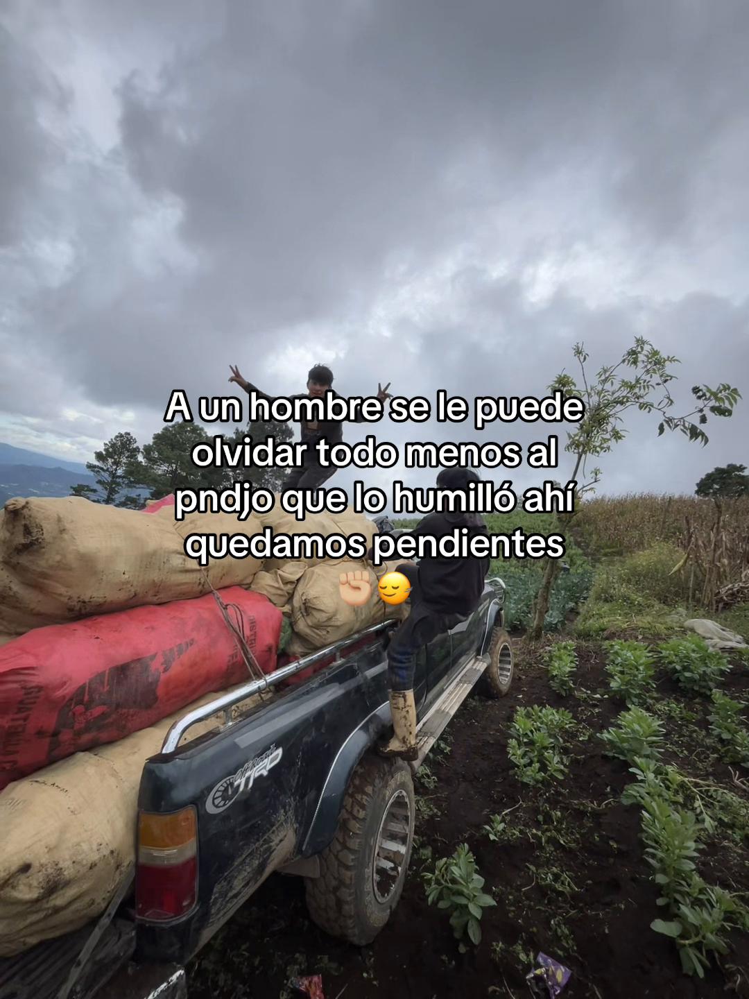 @Henry 🫡🤠