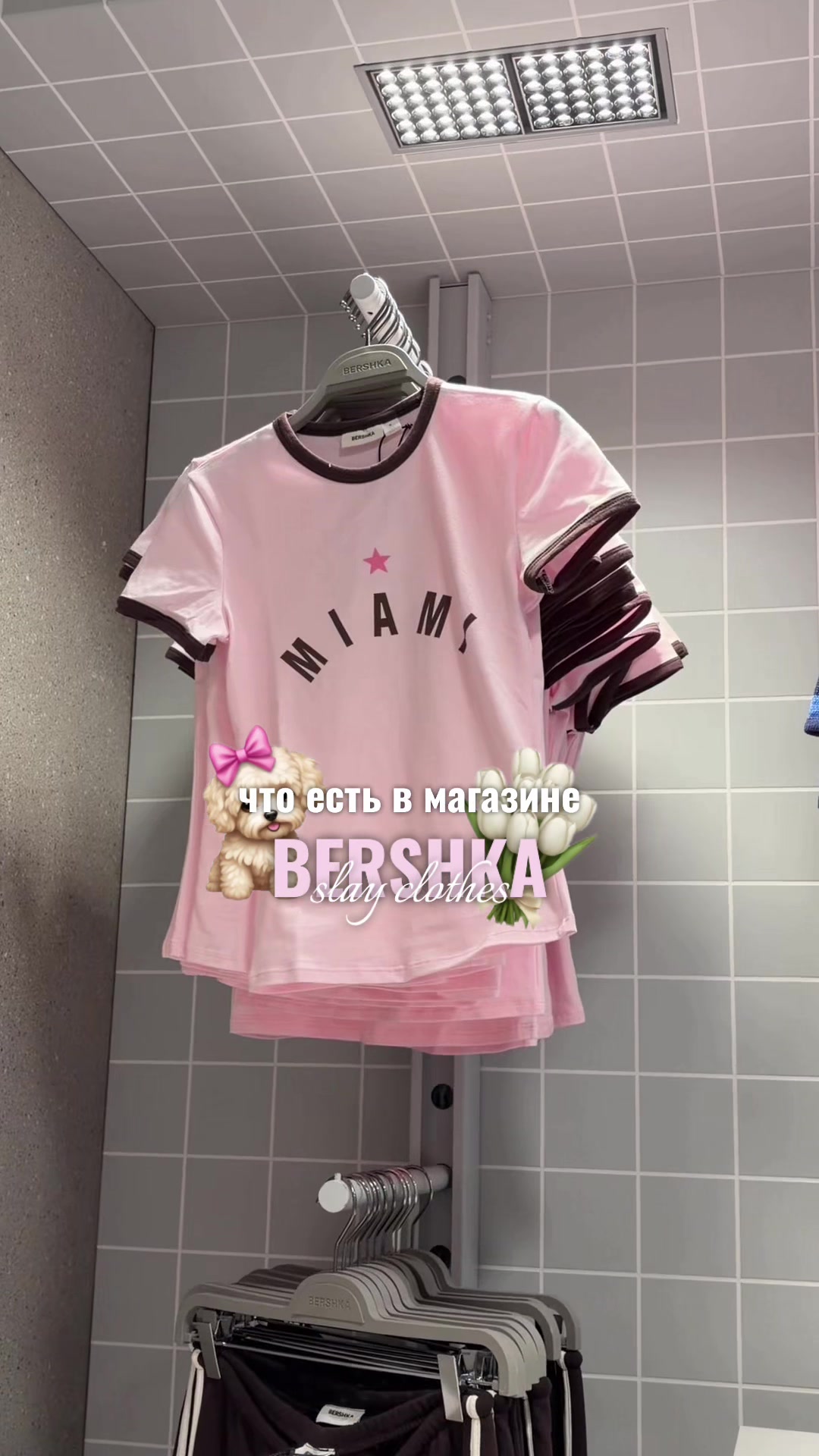 @˖ ׁ ׅ  ּ𐙚 𝑙𝑒𝑖𝑙𝑎ℎ𝑟𝑒𝑑🪽