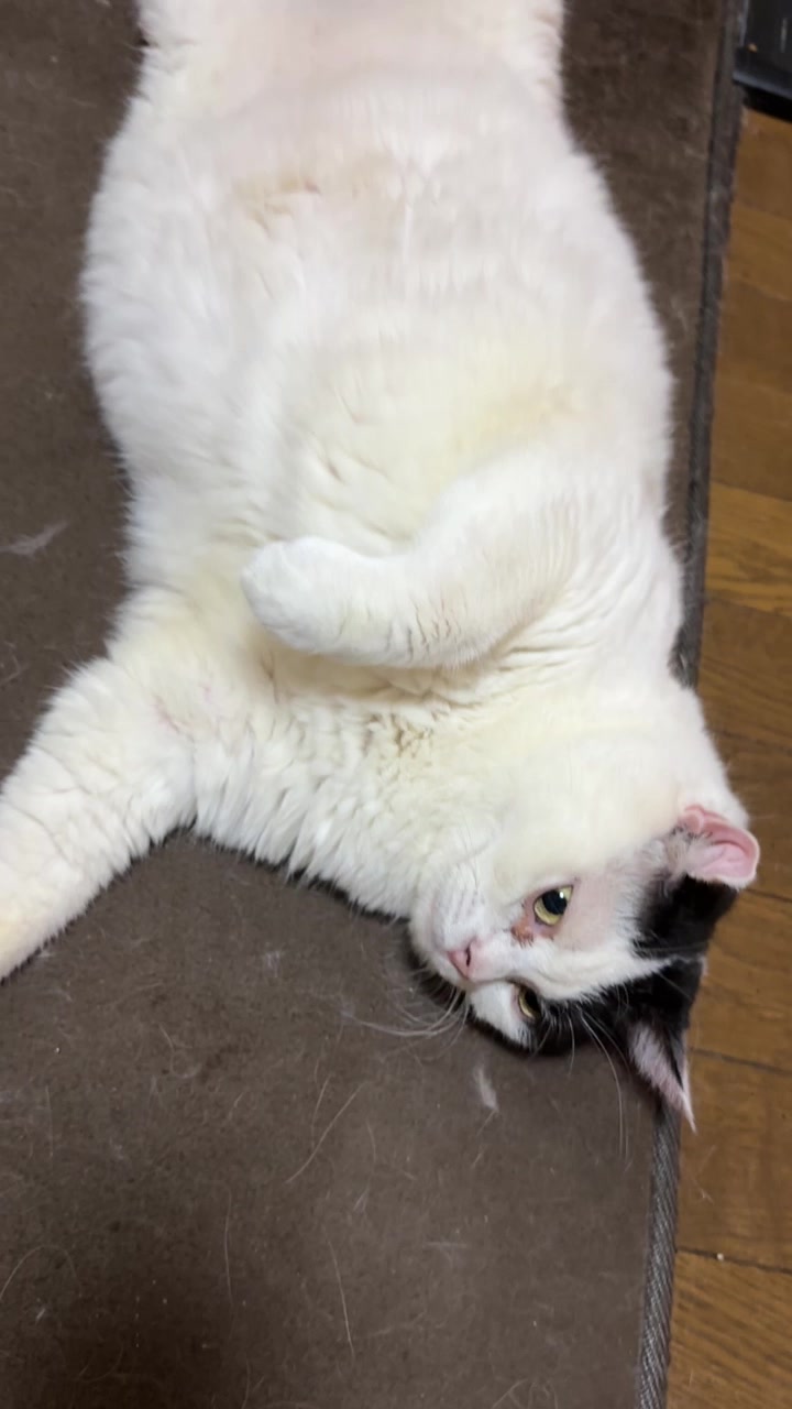 @フカカン