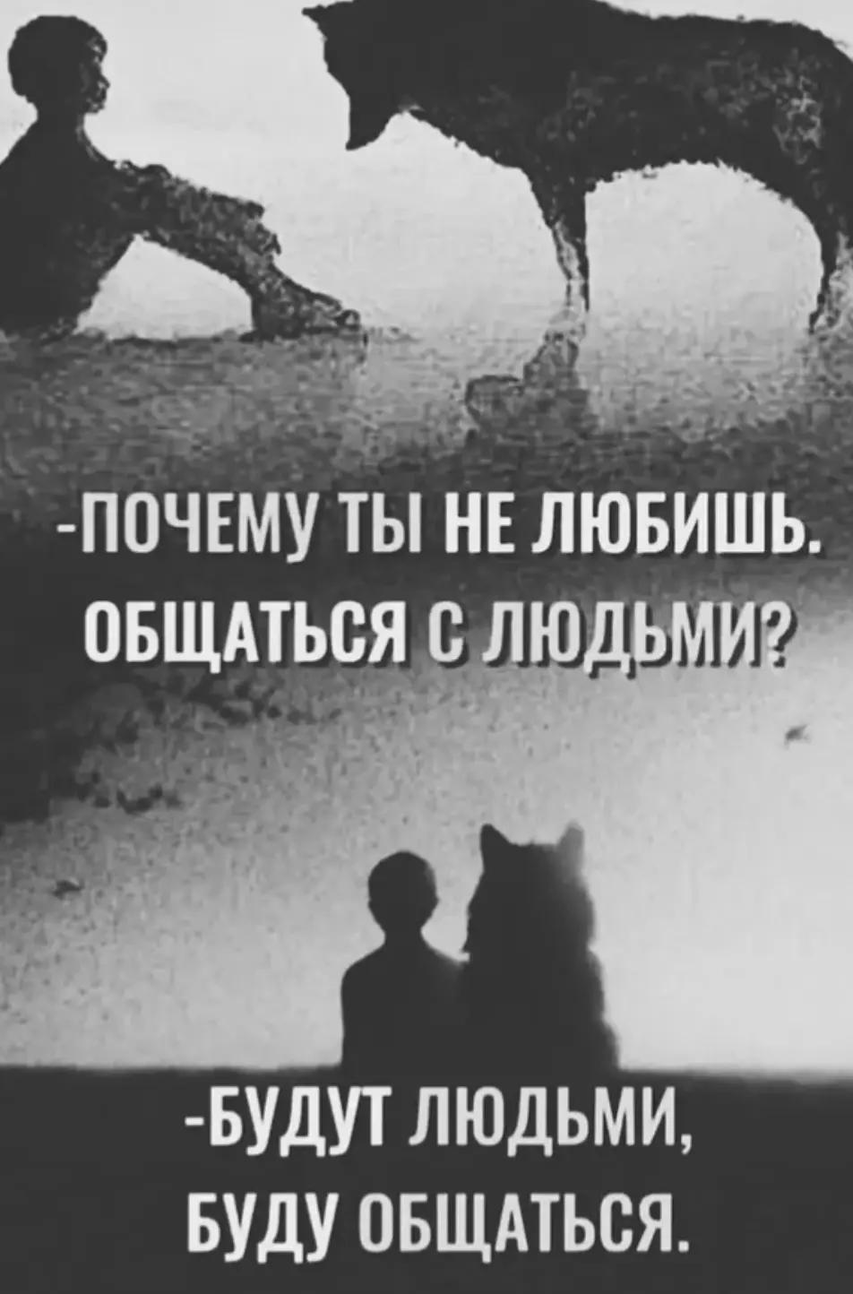 @chuchinandriy