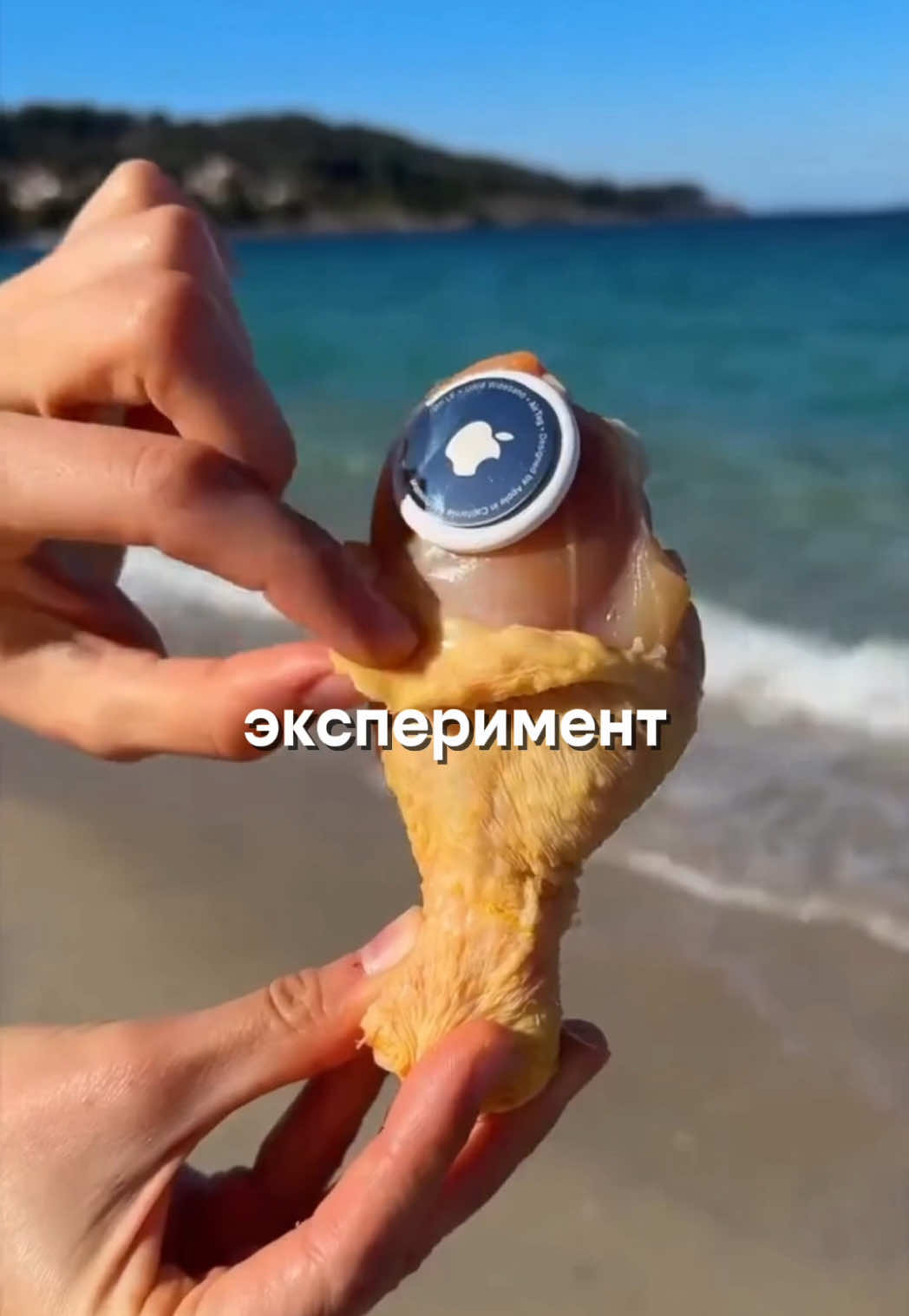 @YouTube: ERDA&bull;друзья