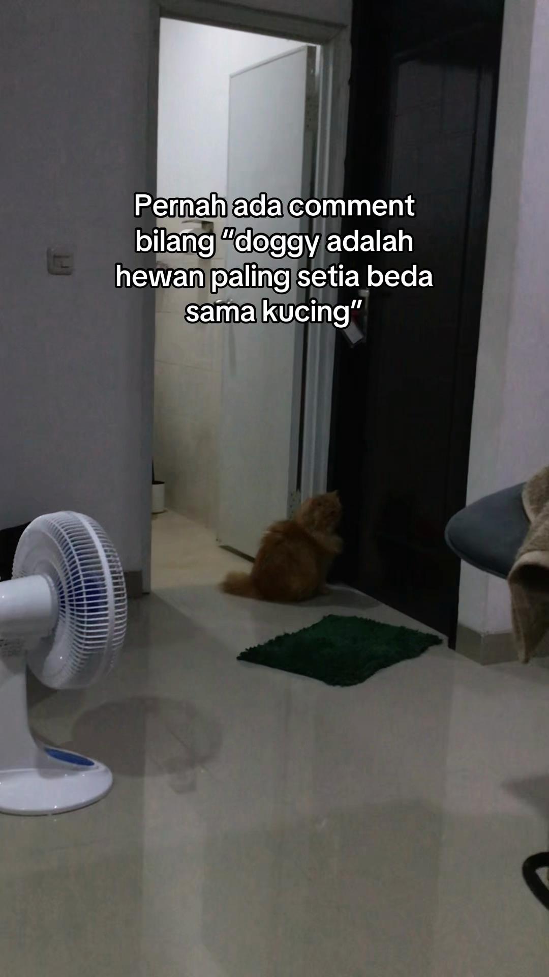 @Mommy, Eyon & Oyenz