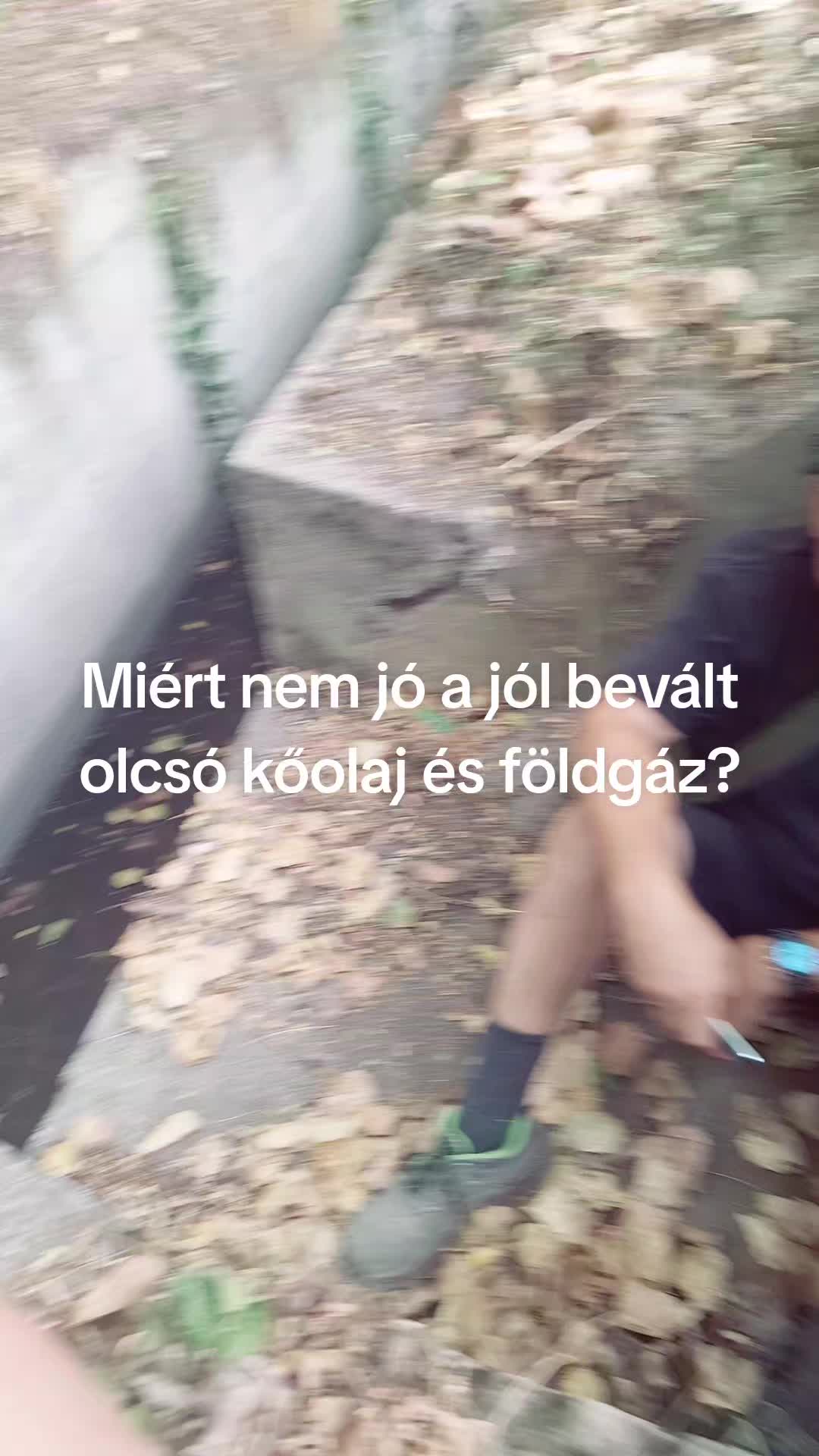 @Vir&aacute;gz&oacute; J&ouml;vő