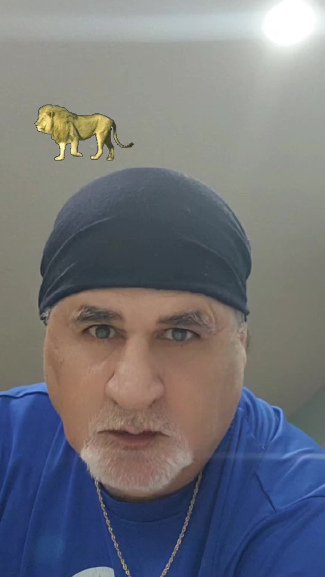 @pritpal.kitoo