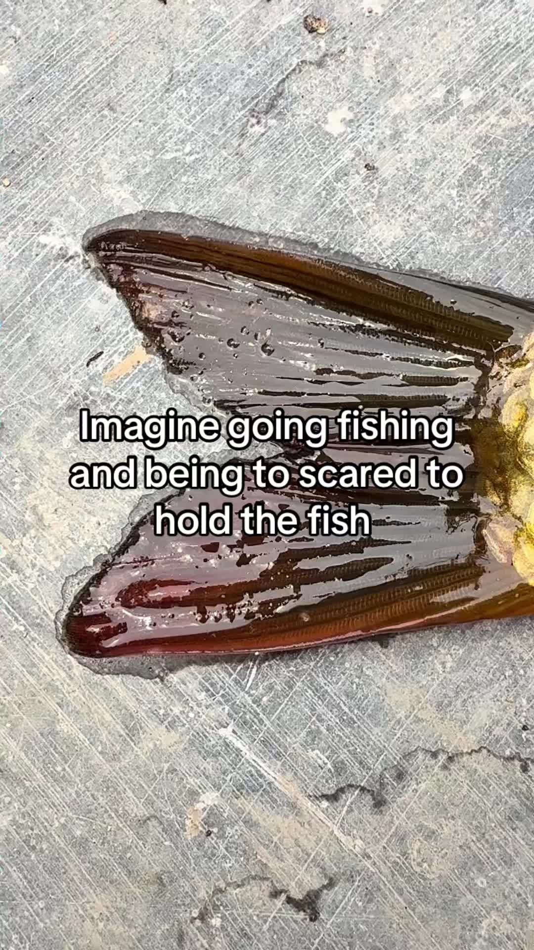 @kaitlinhui4