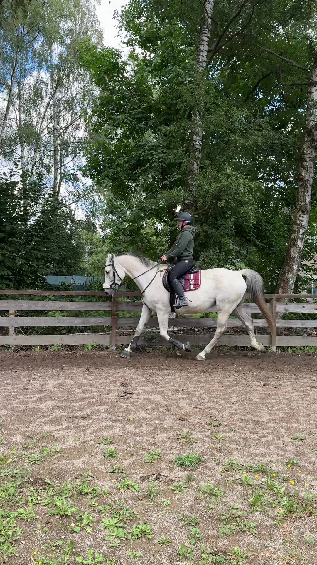 @Lieblings.scheckiii