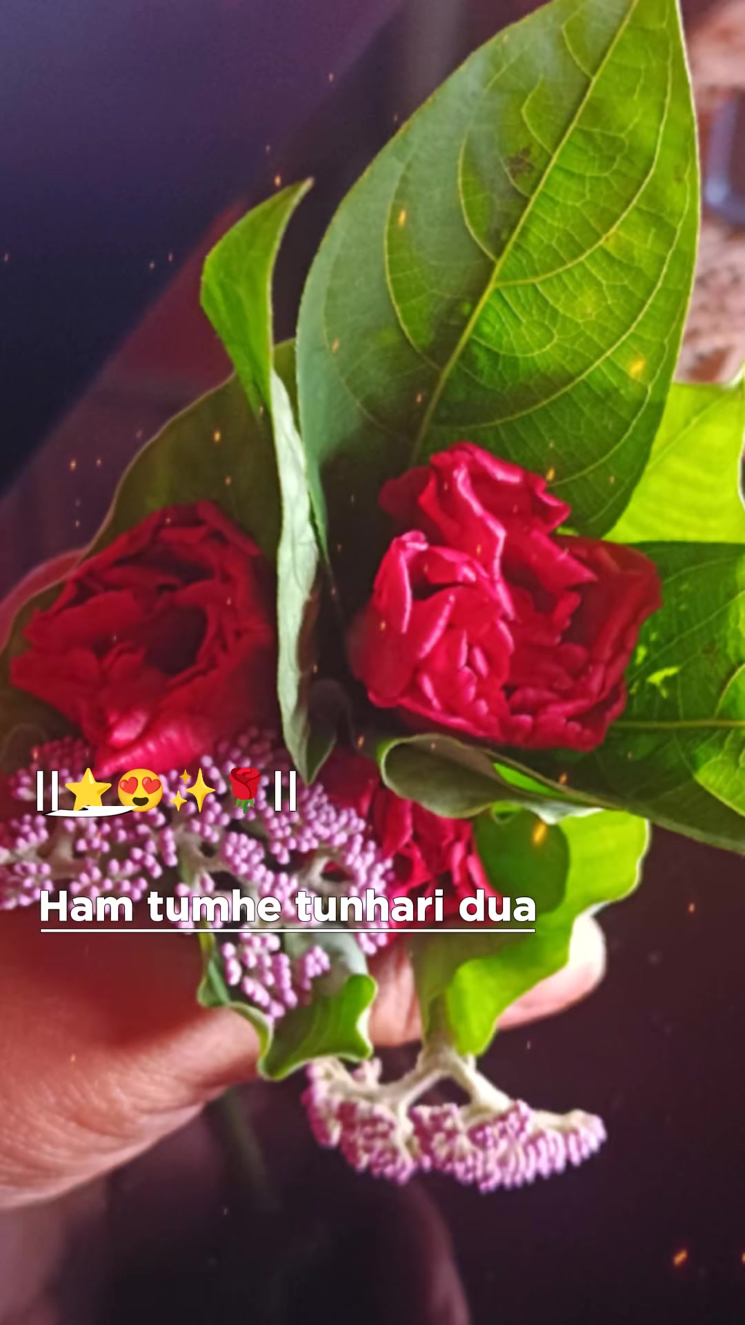 @s@bbur@ni🇳🇵🇦🇪