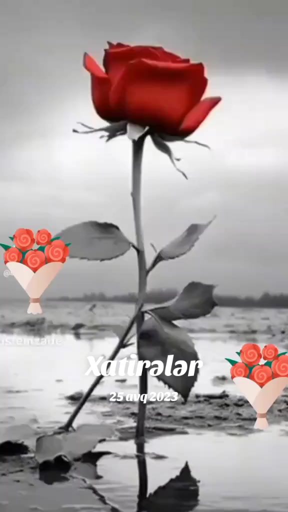 @Kamran