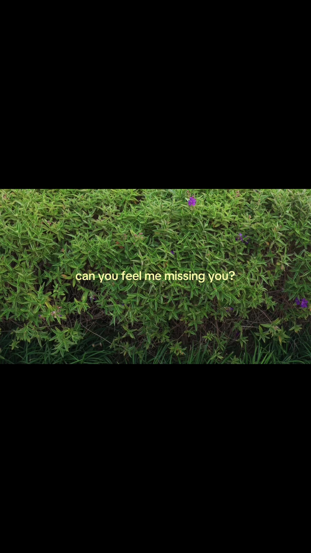 @something i couldn&rsquo;t say
