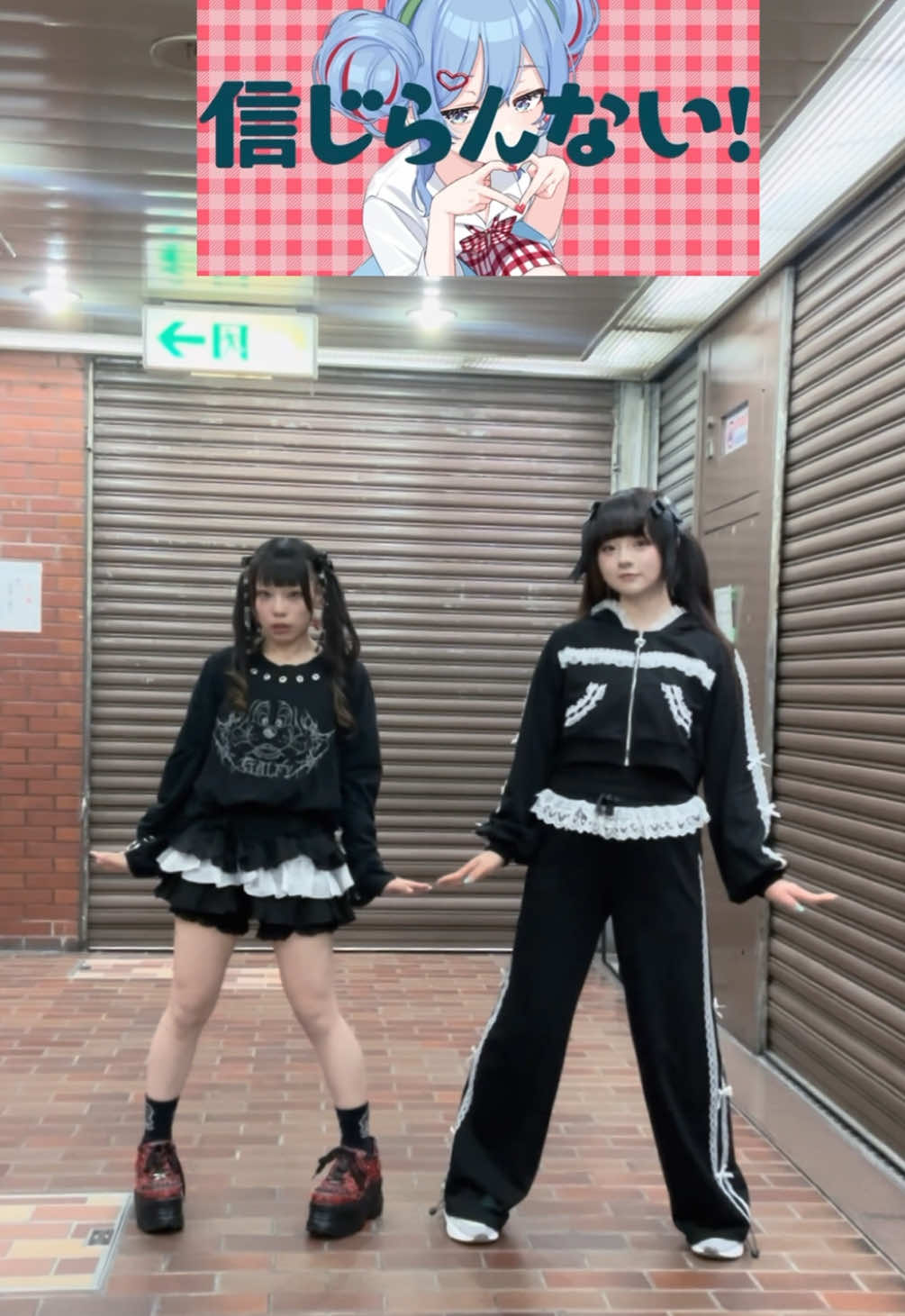 @wani🦕🏹11/13に無料ワンマンライブin秋葉原