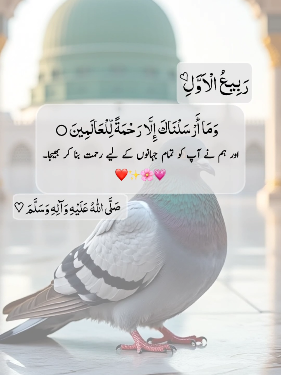 @Aimen Usman
