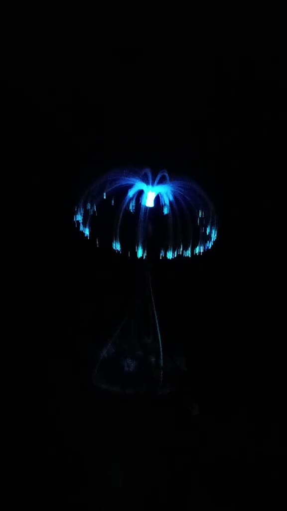 @OanaCarmen12