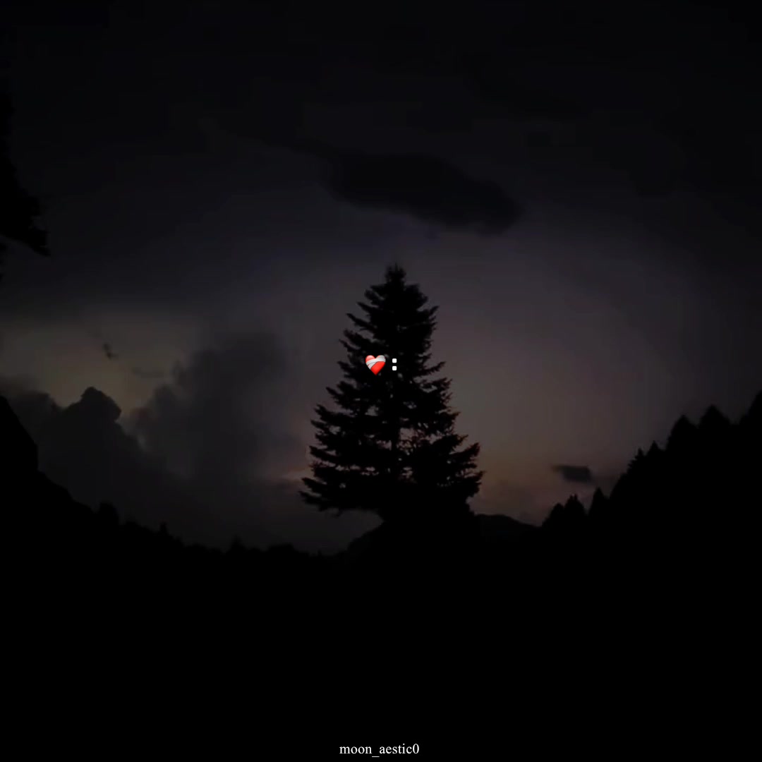 @𐙚⋆𝙽𝙰𝙼𝙴...?🫠