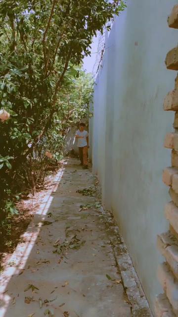 @Ghazan Mangol