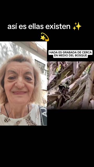 @chispa divina Amaru