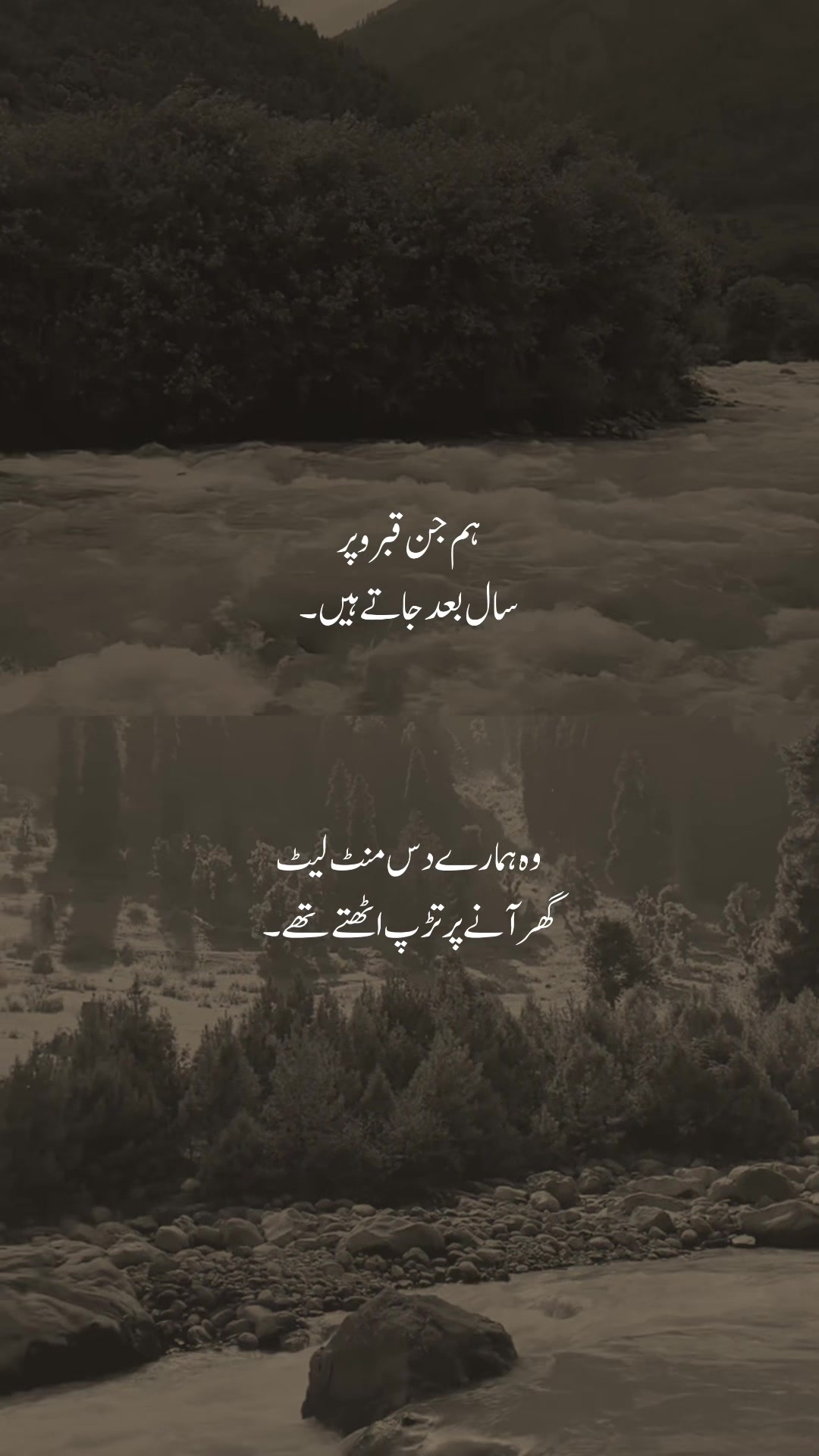 @𓆩شیراز𓆪